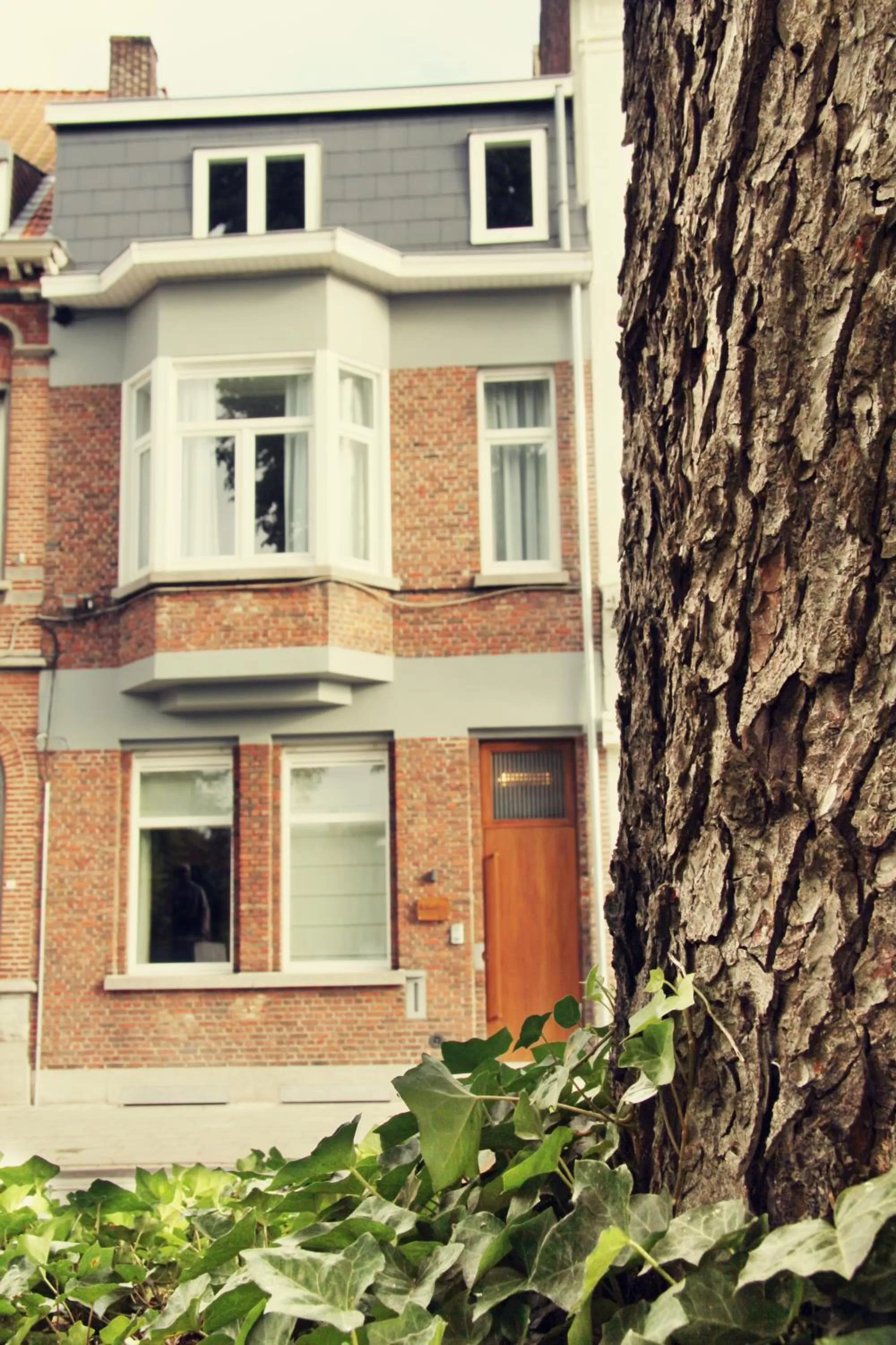 Facade/entrance in Dendernachten