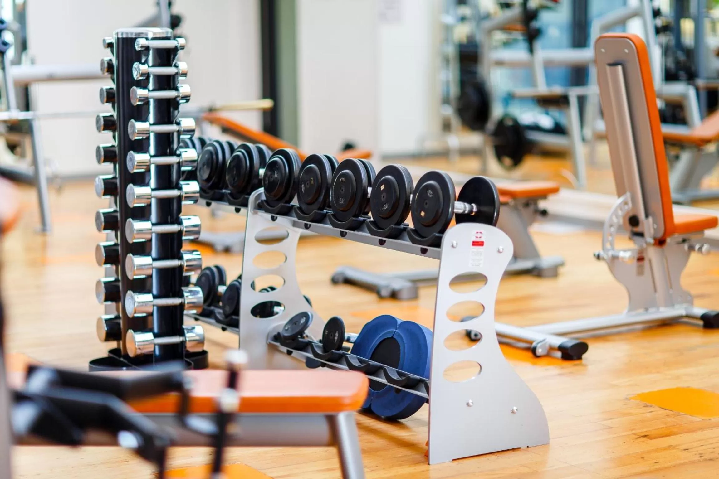 Fitness centre/facilities in Hotel Bleichibeiz
