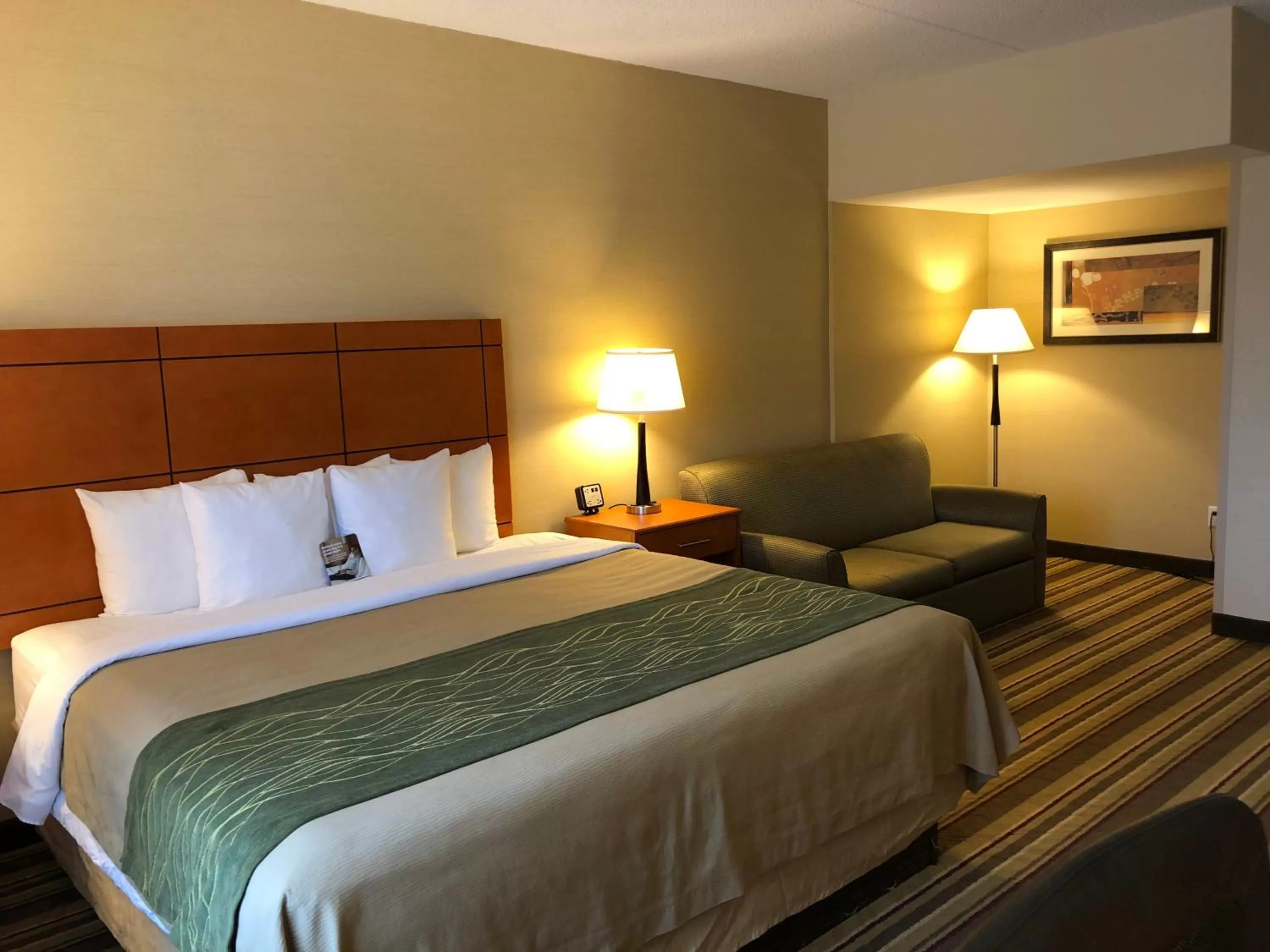 Deluxe King Room with Sofa Bed - Non-Smoking in Comfort Inn Metro Airport