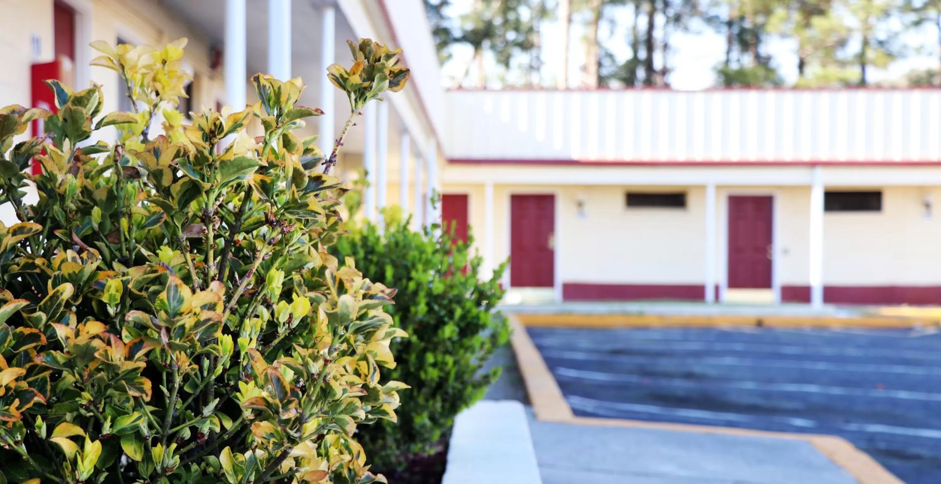 Property building in Royal Inn - North Augusta - Home Of The Masters - Augusta Downtown