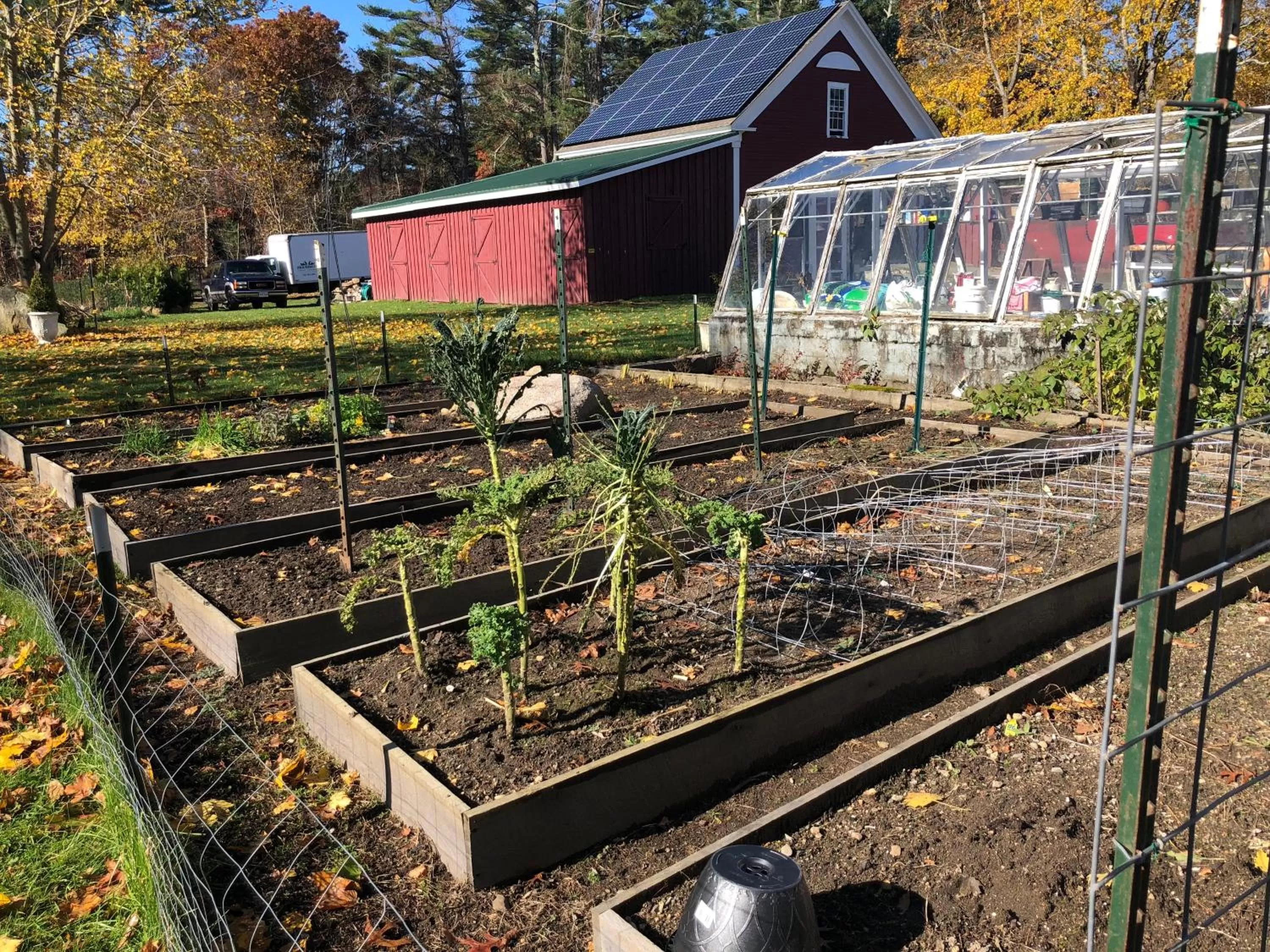 Other in Silvershell Inn