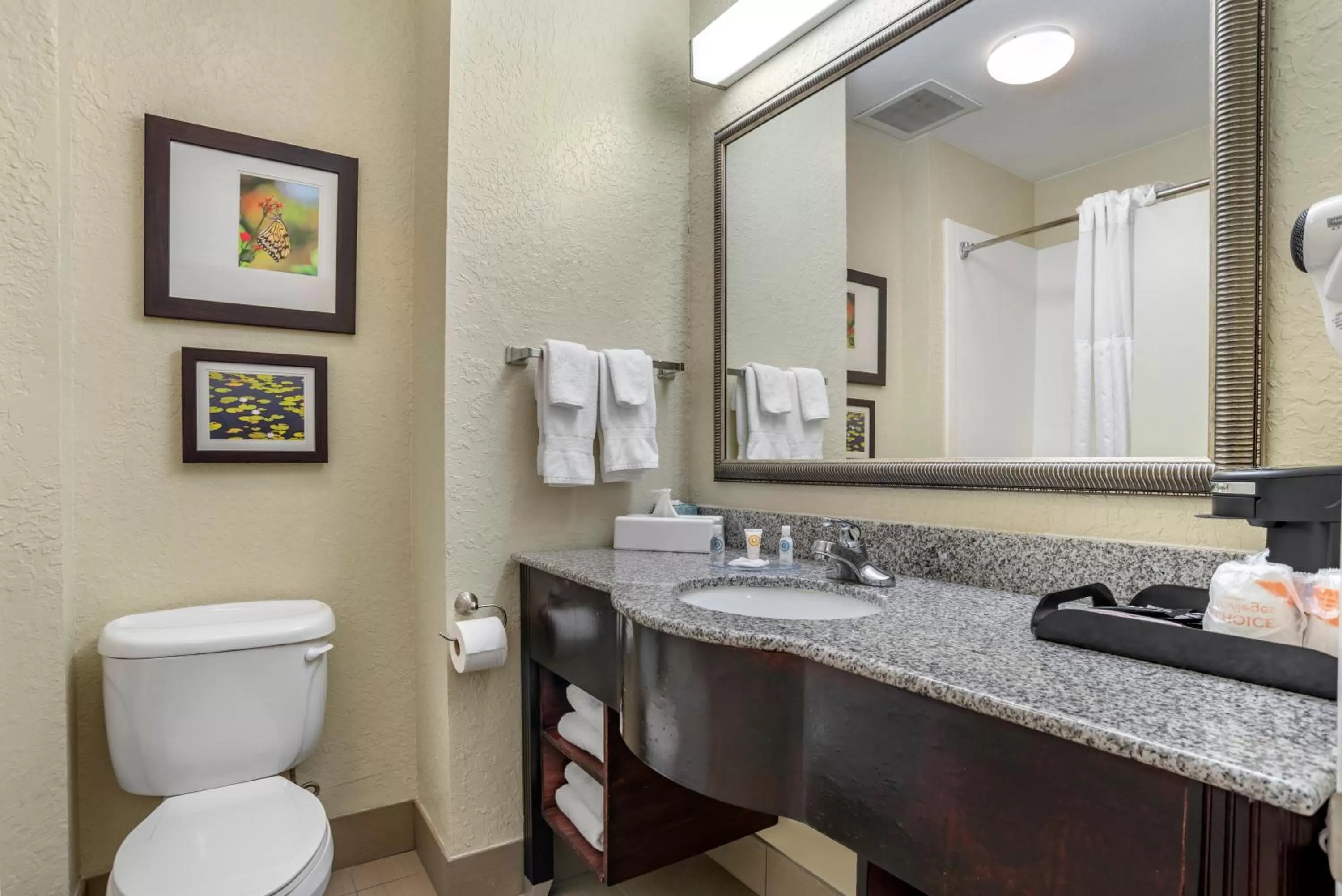 Bathroom in Comfort Inn & Suites Marianna I-10