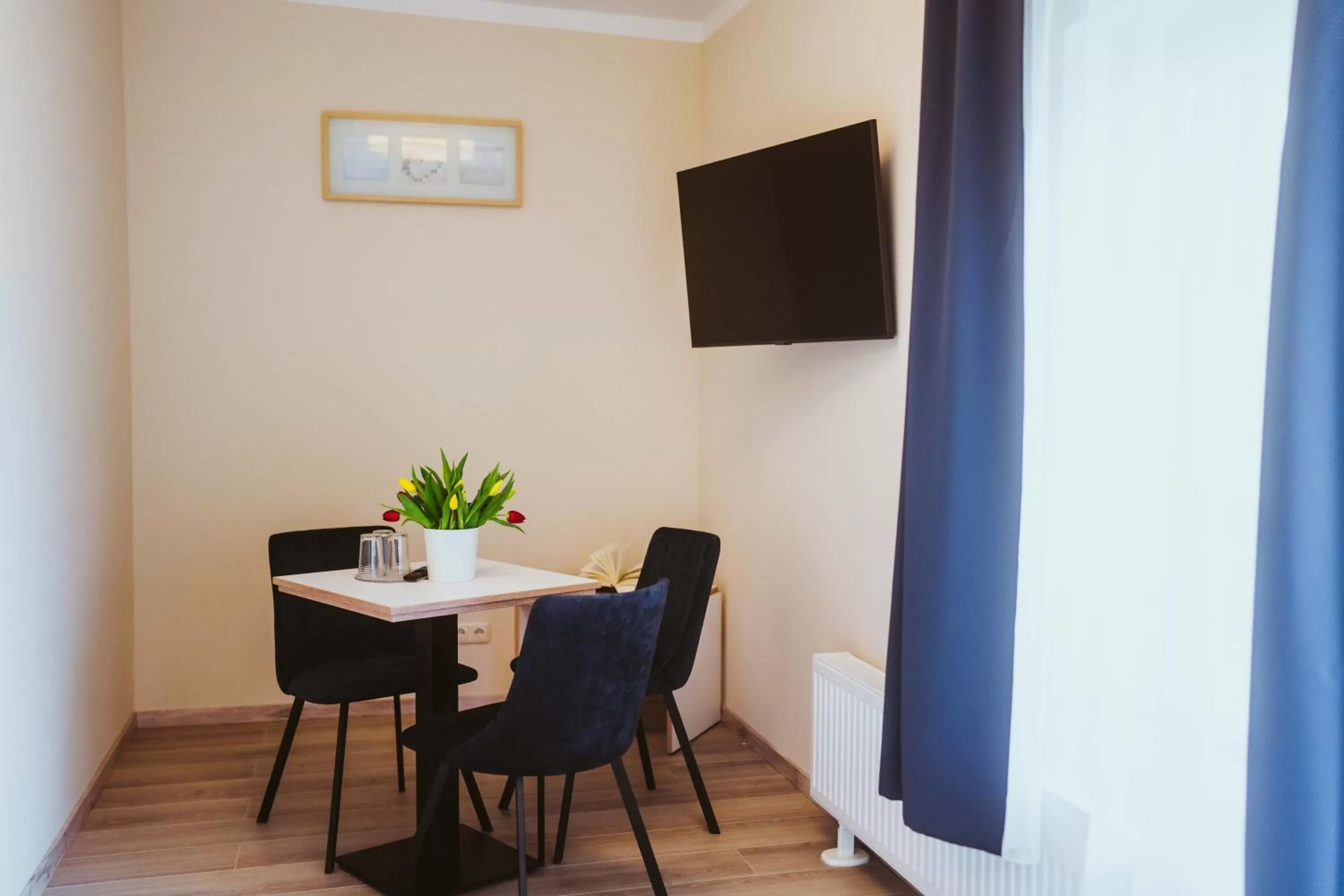 TV and multimedia, TV/Entertainment Center in Aparthotel Stralsund Studios und Apartments