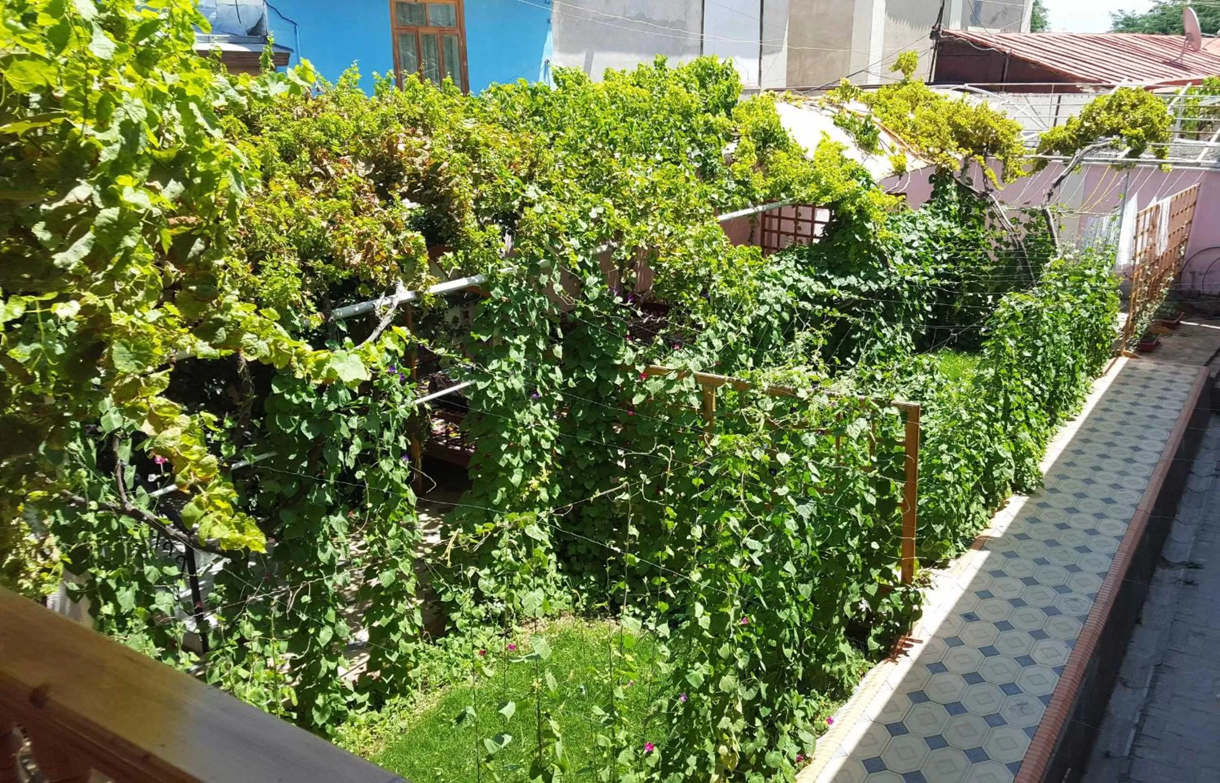 Garden, Balcony/Terrace in Jahongir Guest House
