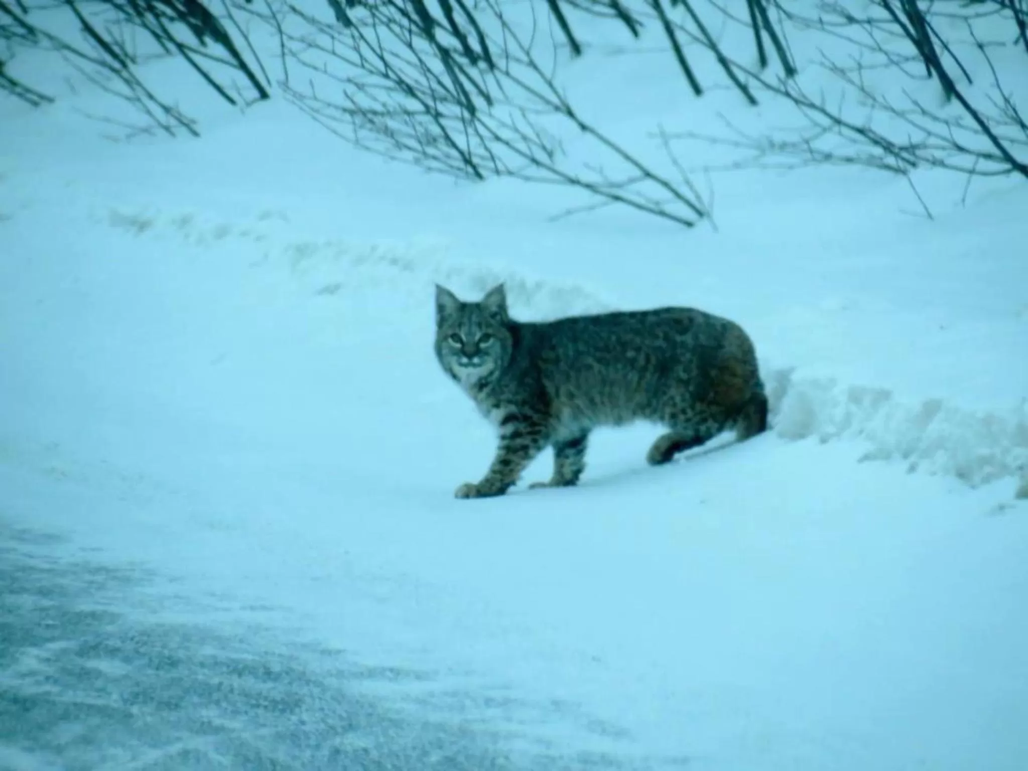 4 Seasons Inn on Fall River