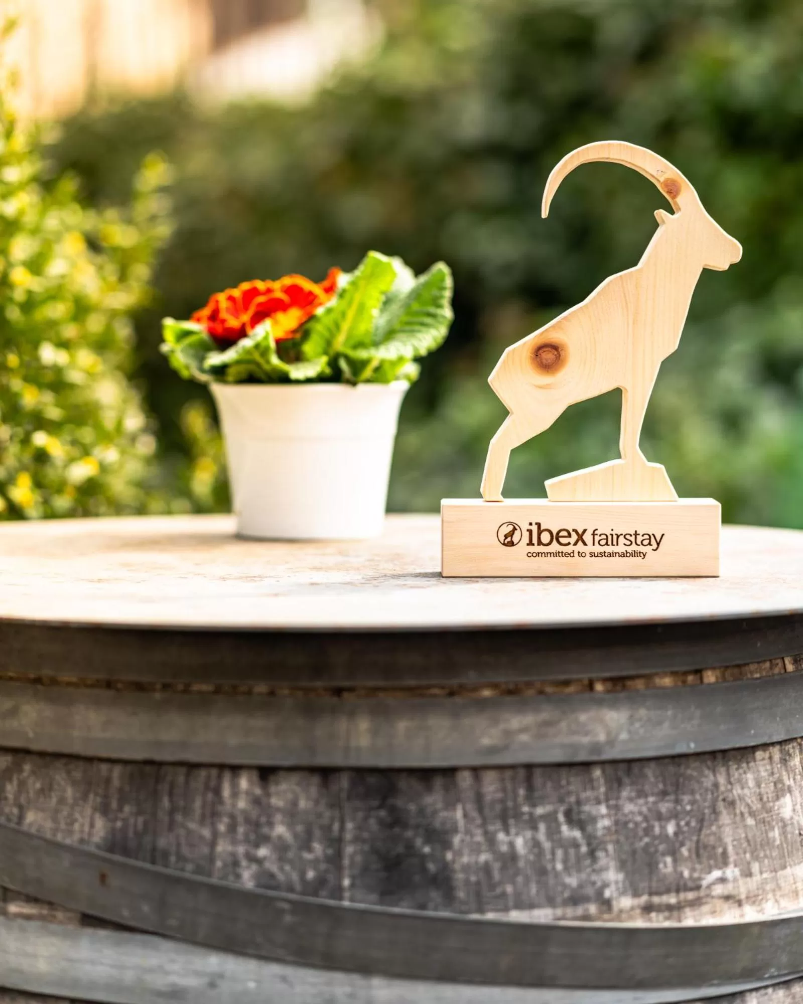 Certificate/Award in Gast - und Kulturhaus Der Teufelhof Basel