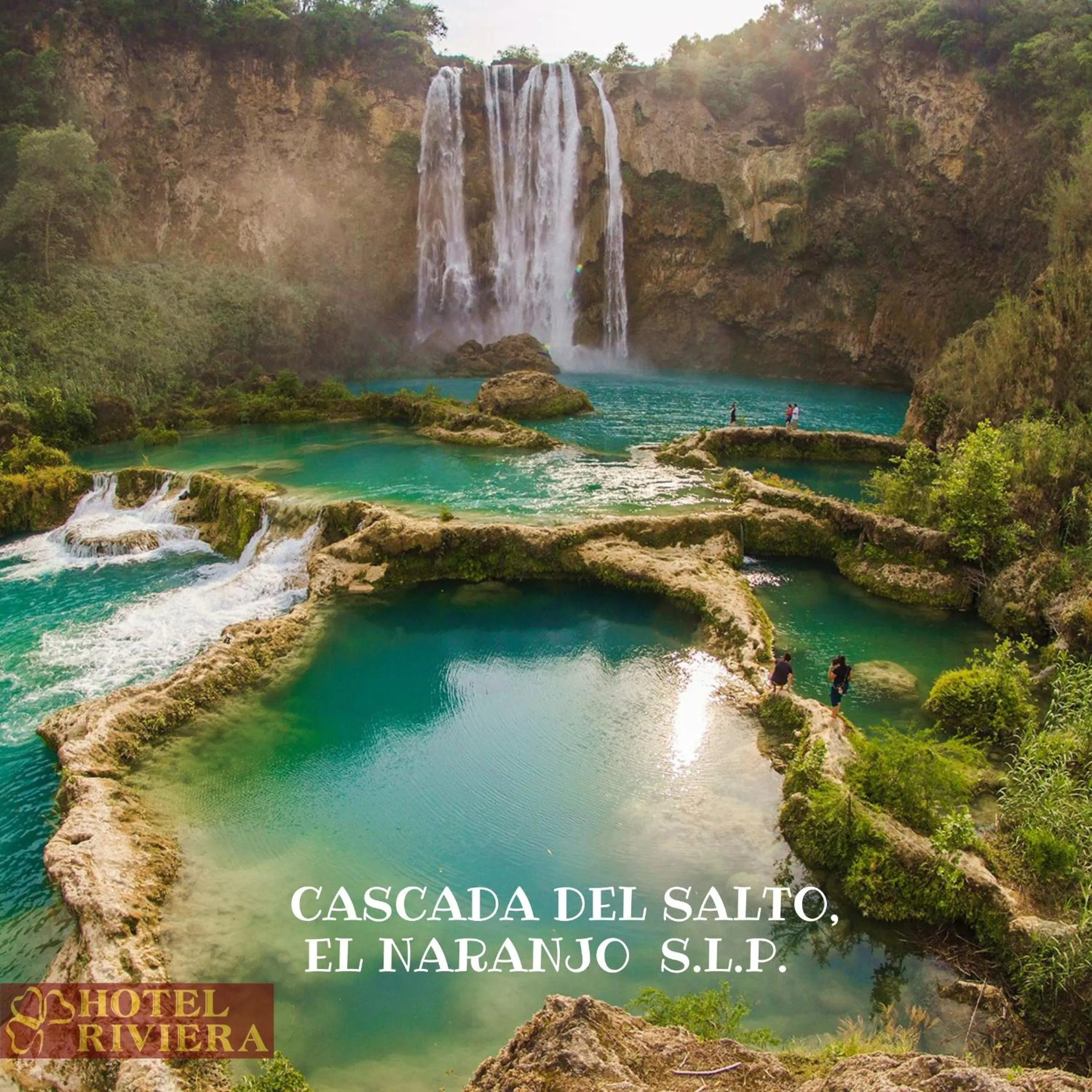 Natural landscape in Hotel Riviera