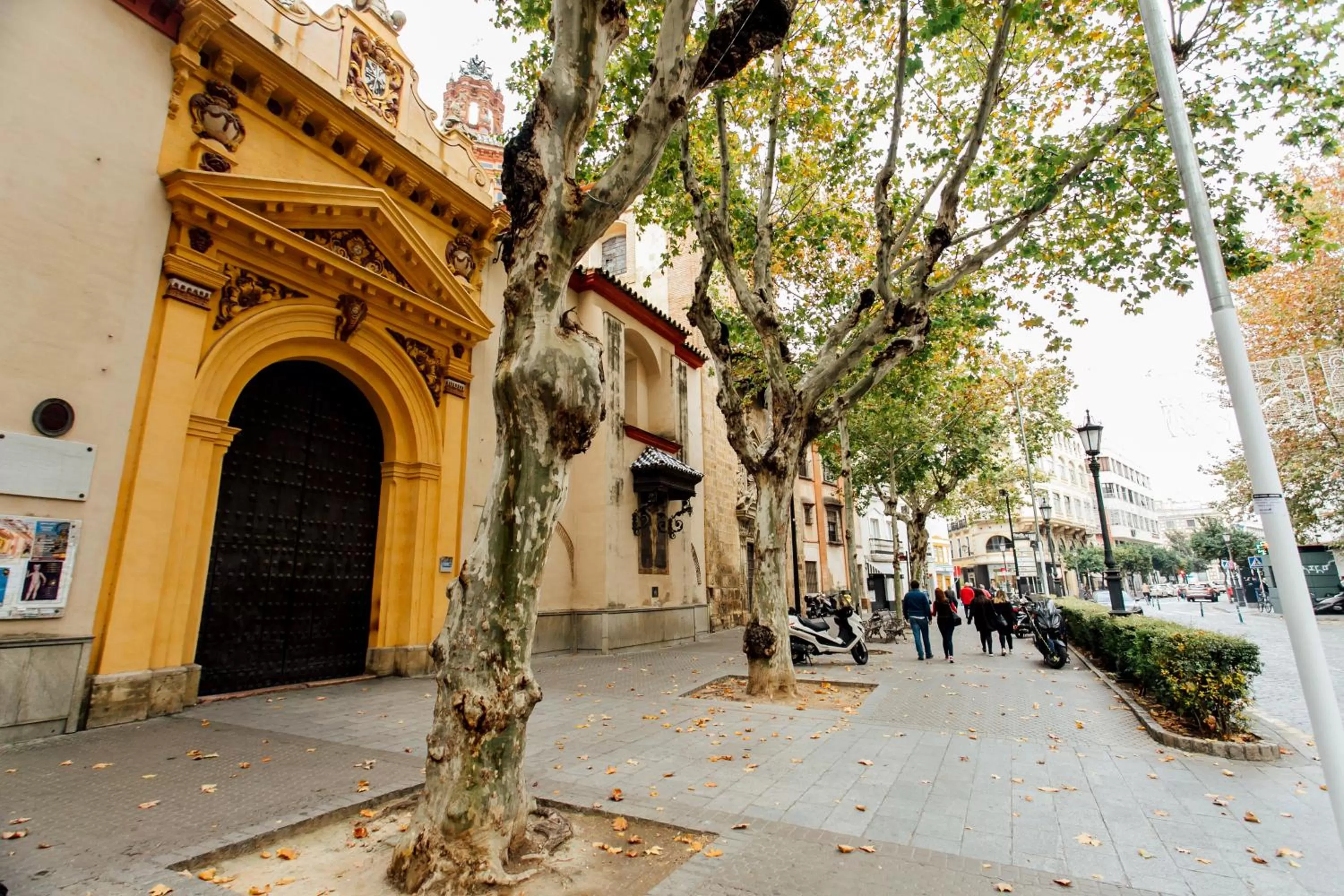 Casa Patio del Siglo XIX