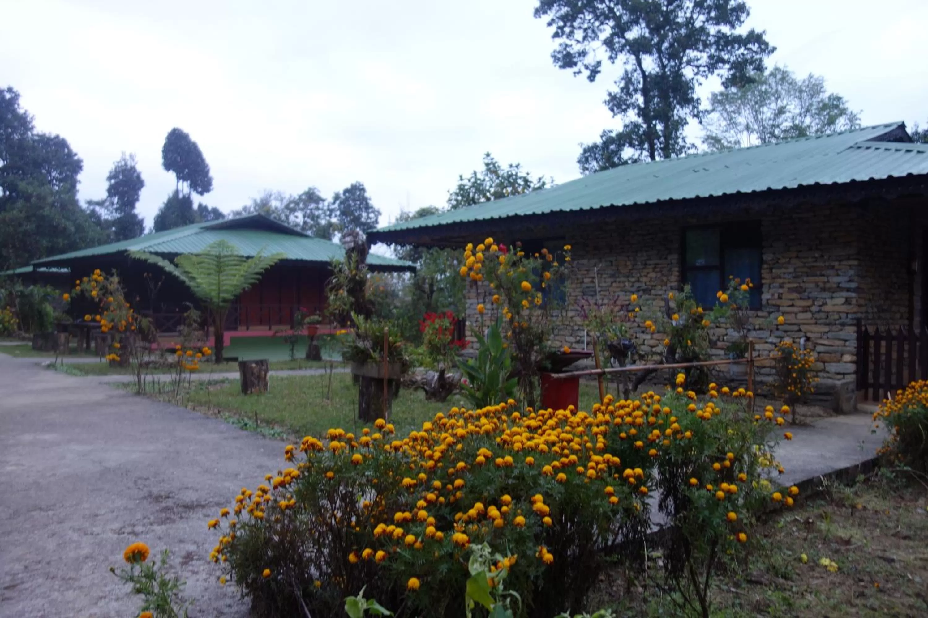 Property Building in The Barfung Retreat