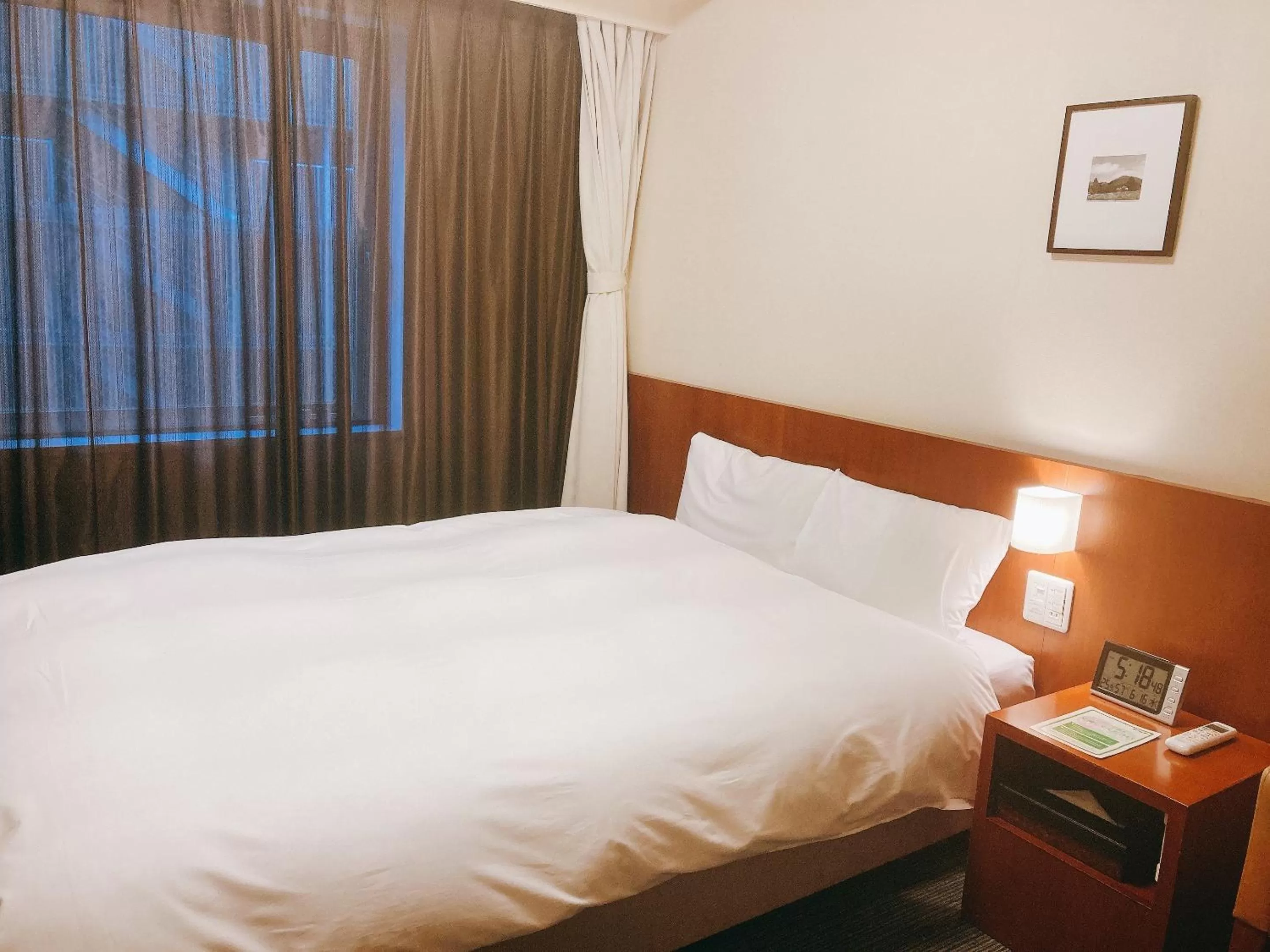 Double Room - Eco Plan (No Daily Cleaning) - Smoking in Dormy Inn Kanazawa Natural Hot Spring