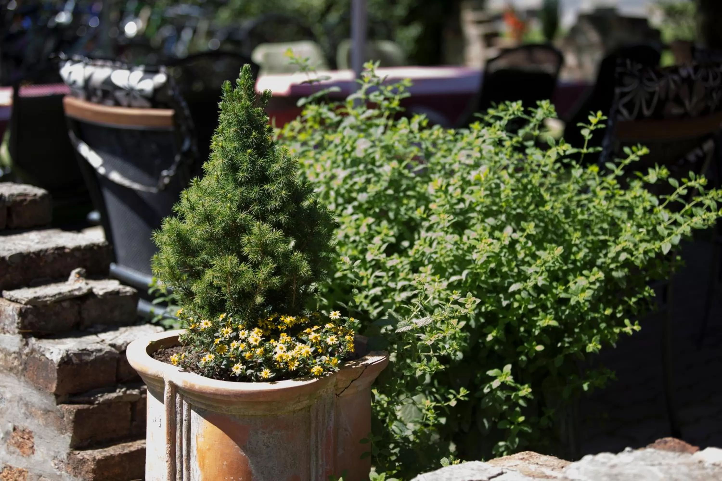 Patio/Outdoor Area in Hotel Zéta