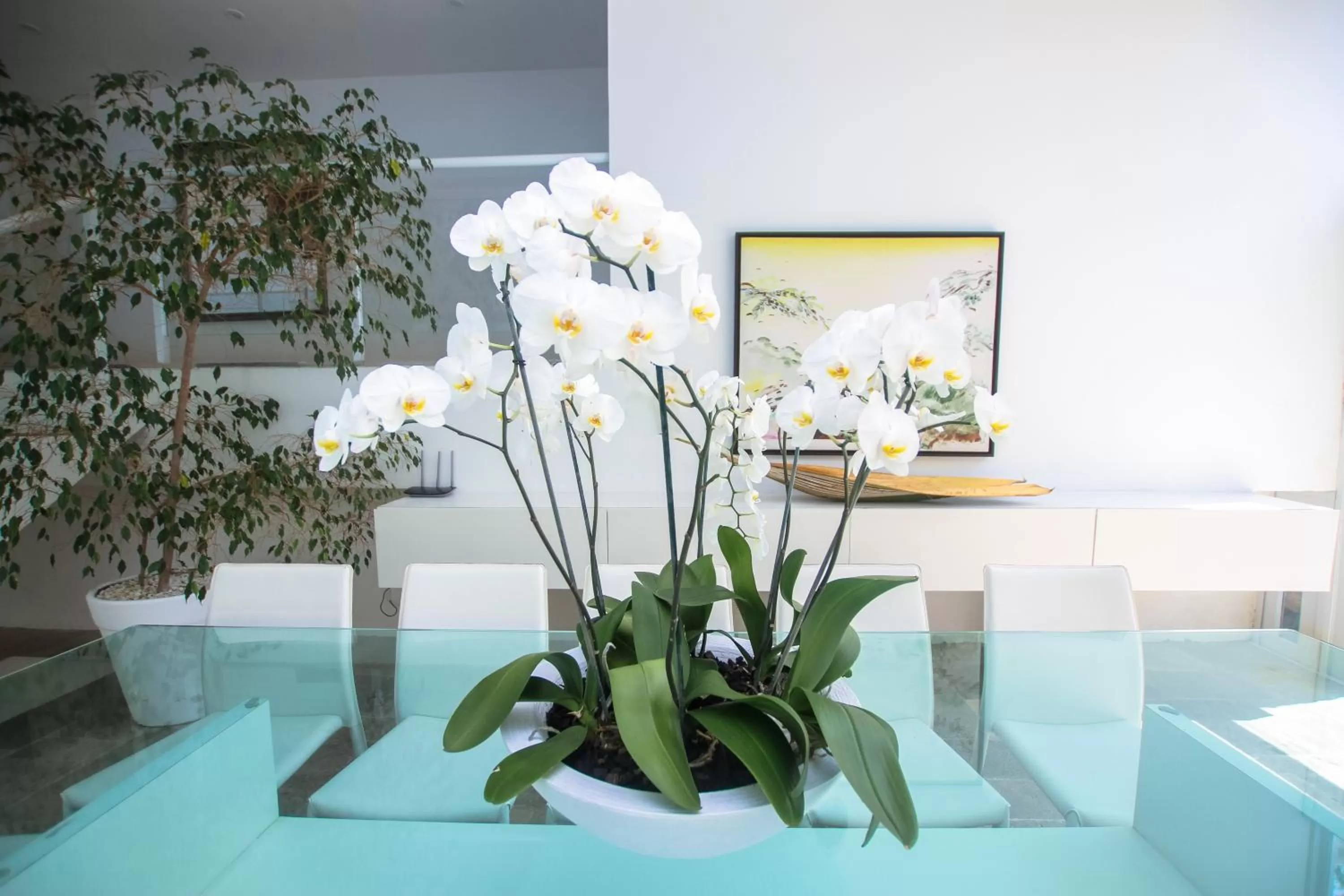 Living room in Guest House Guarujá