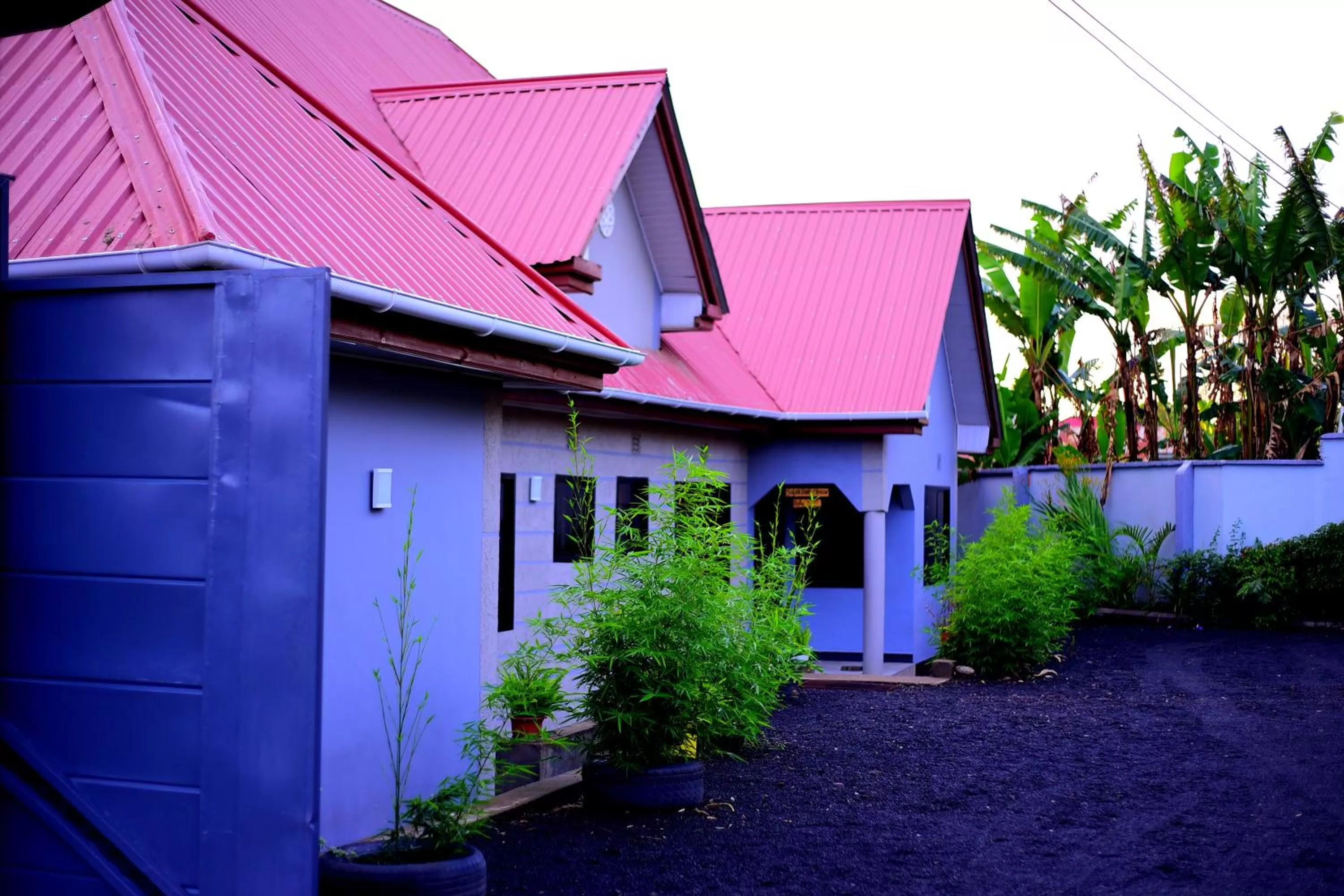 Property building in Safari Park House