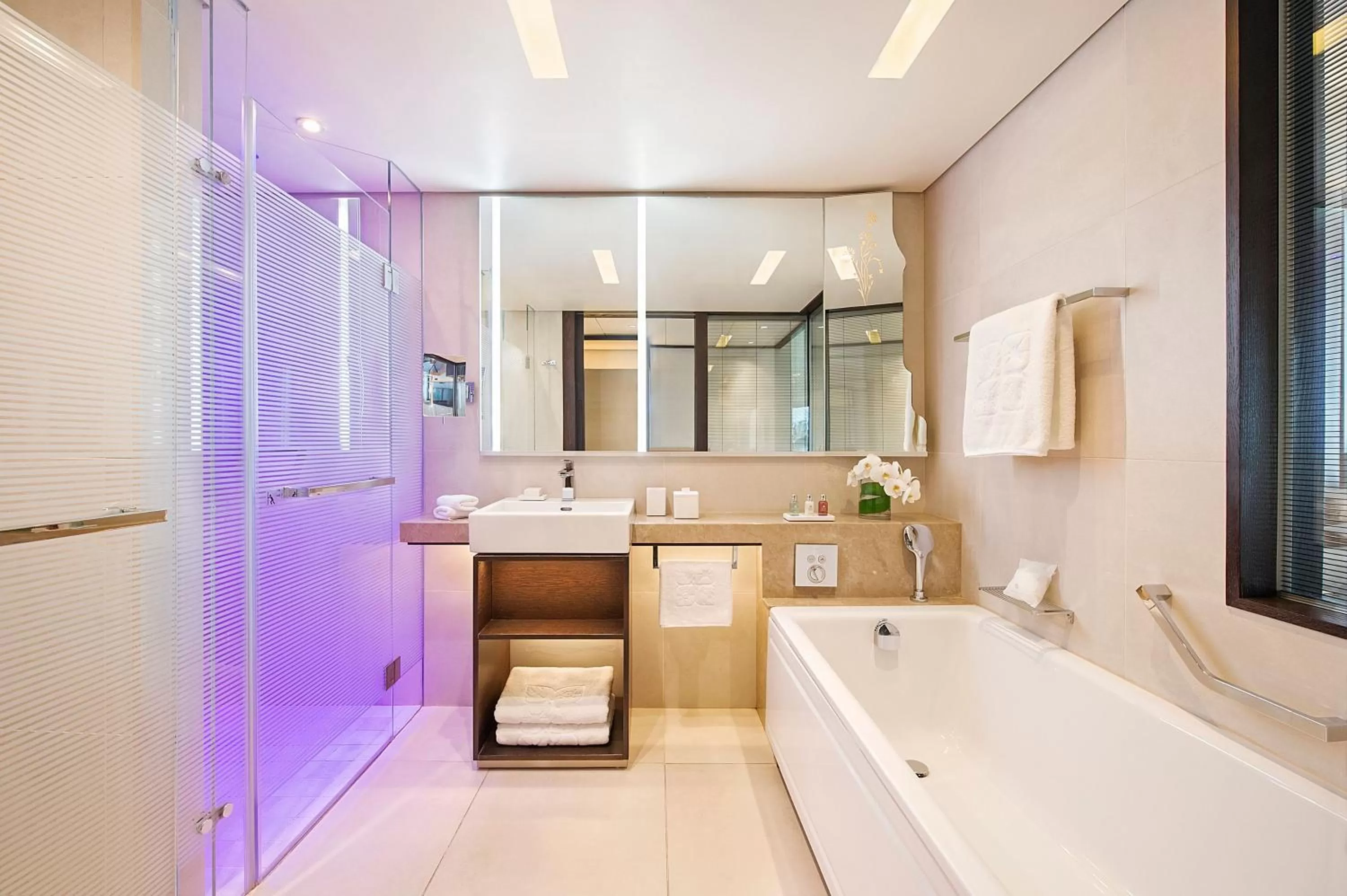 Bathroom in Four Seasons Hotel