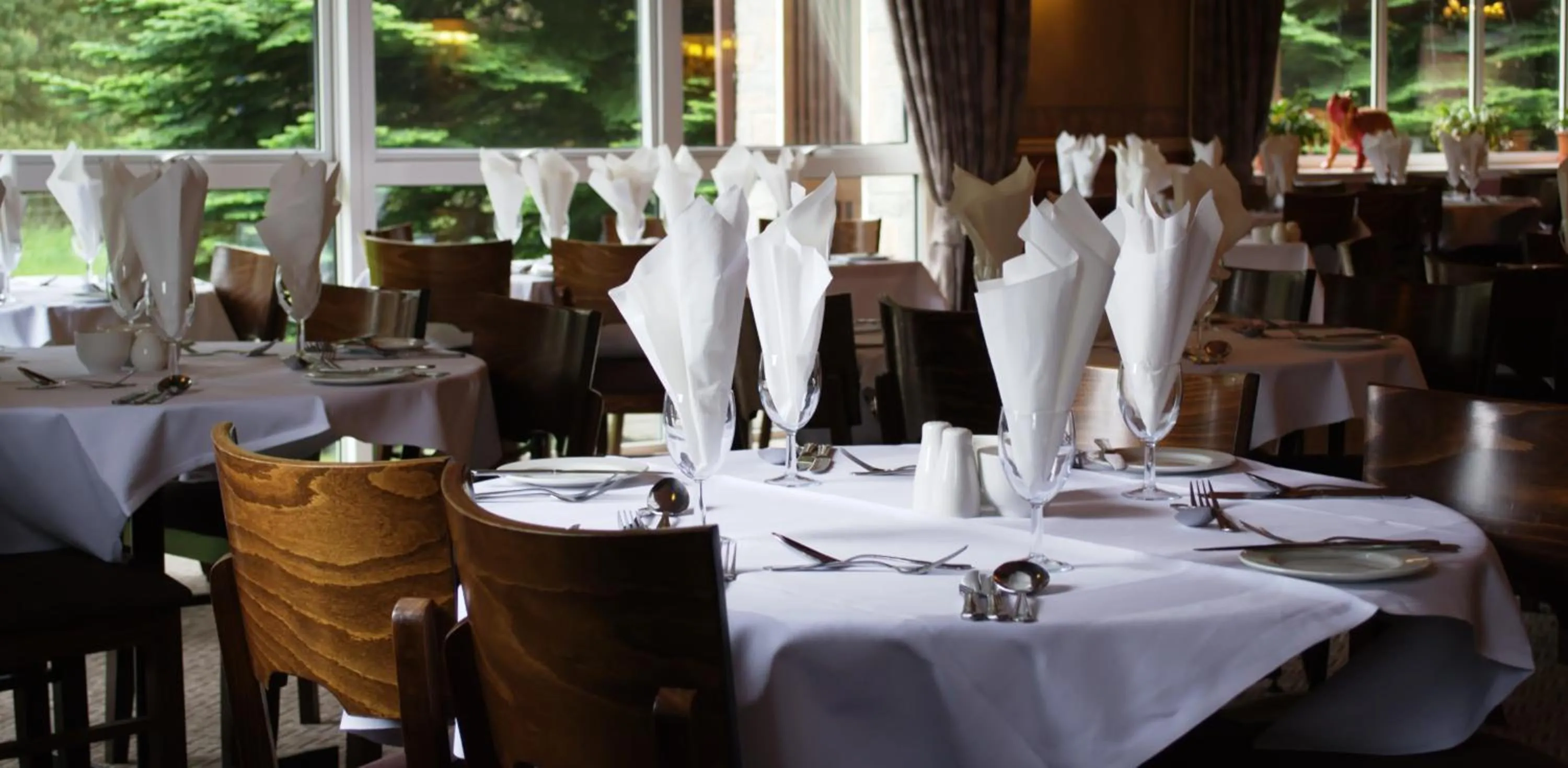 Restaurant/places to eat in Highlander Hotel ‘A Bespoke Hotel’