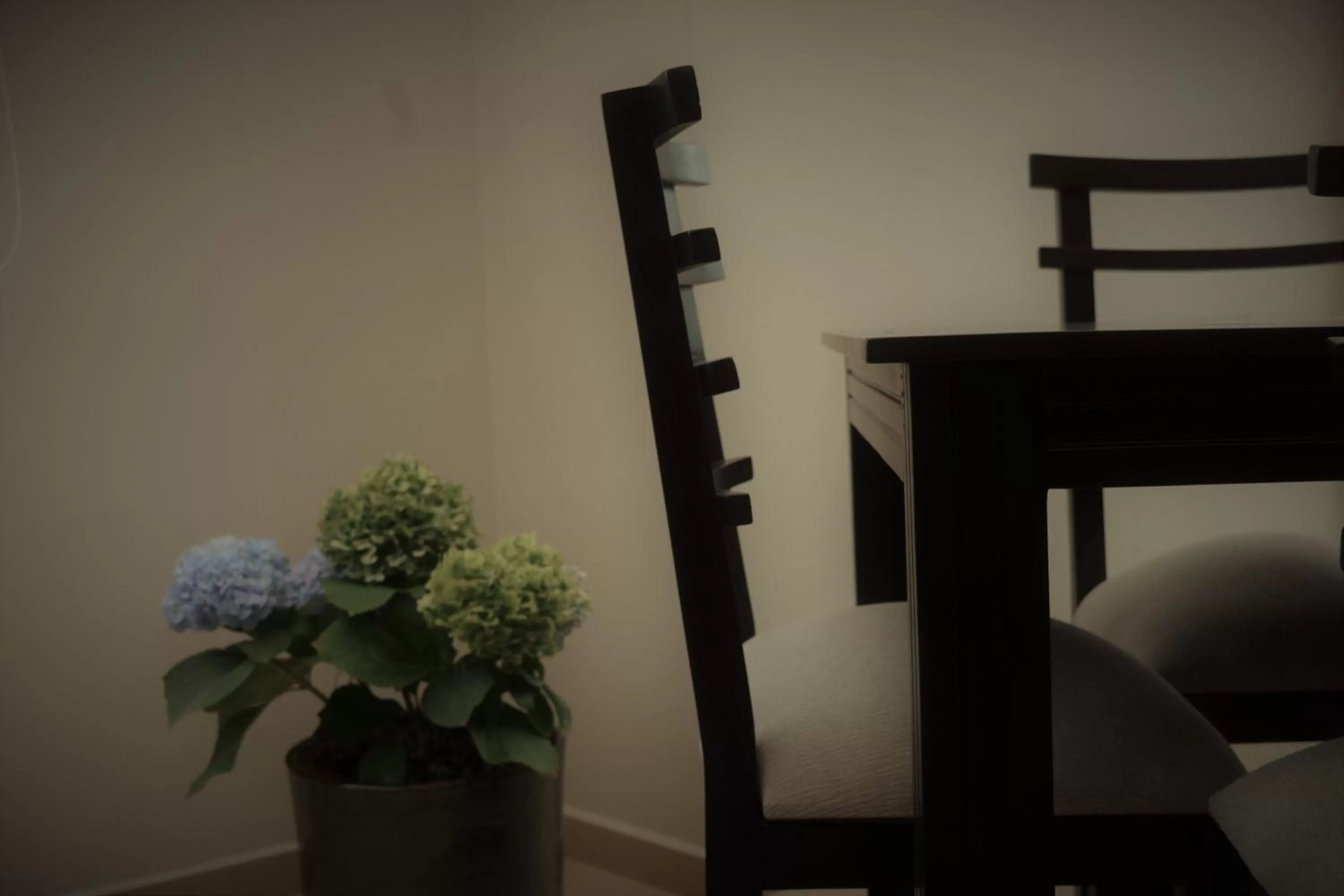 Food and drinks in Illari Hotel