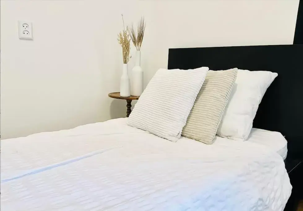 Single Room with Shared Bathroom - single occupancy in Apart hotel Central -Self service- Single Room with Shared Bathroom - single occupancy in Apart hotel Central -Self service-