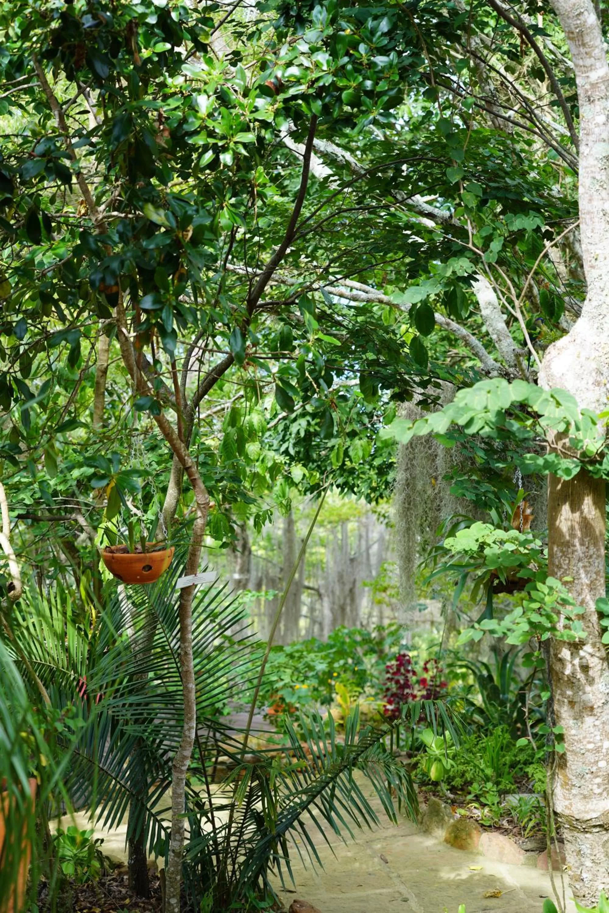 Garden in Posada Finca San Vicente B&B