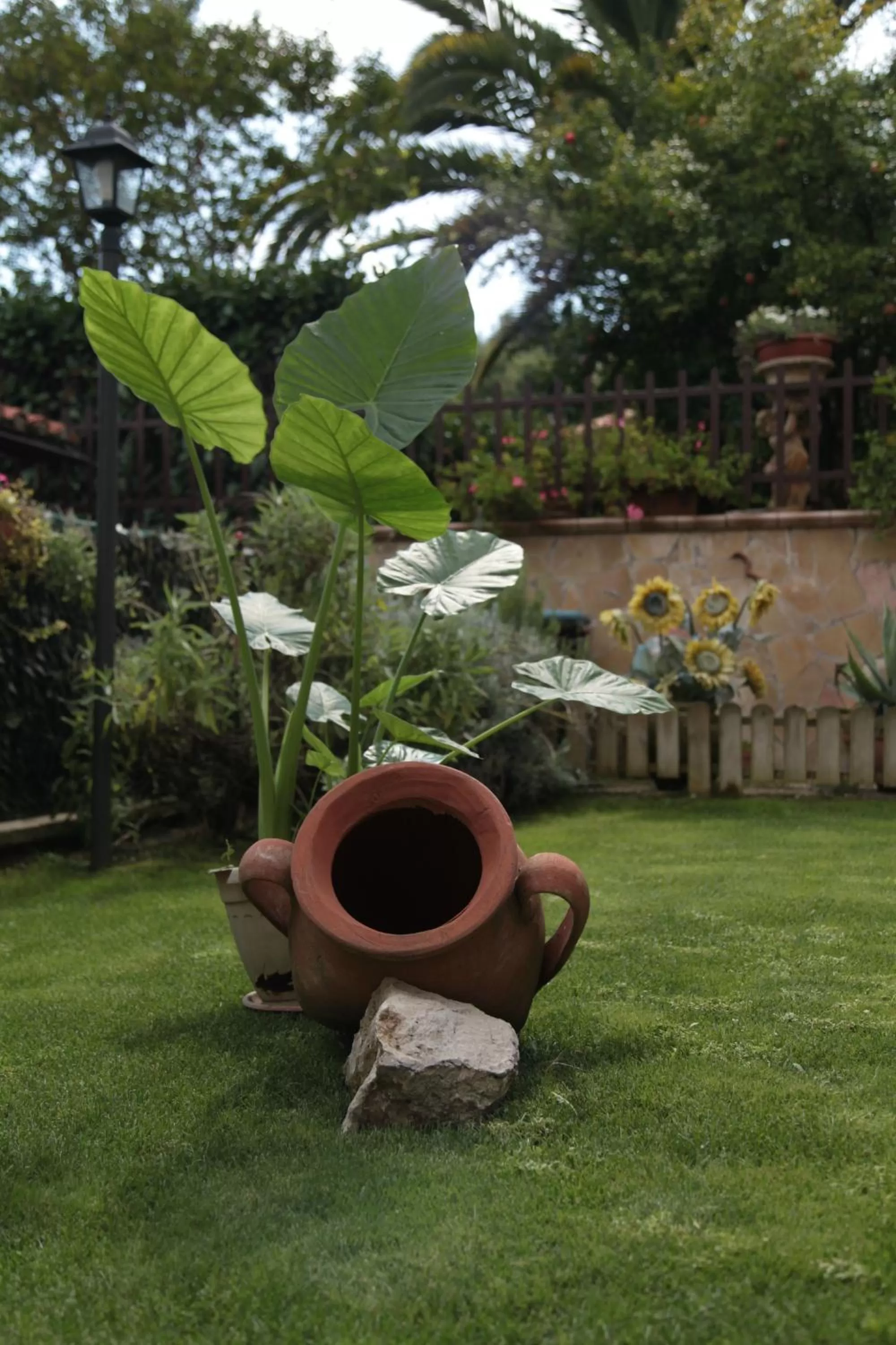 Garden in Casa del Girasole