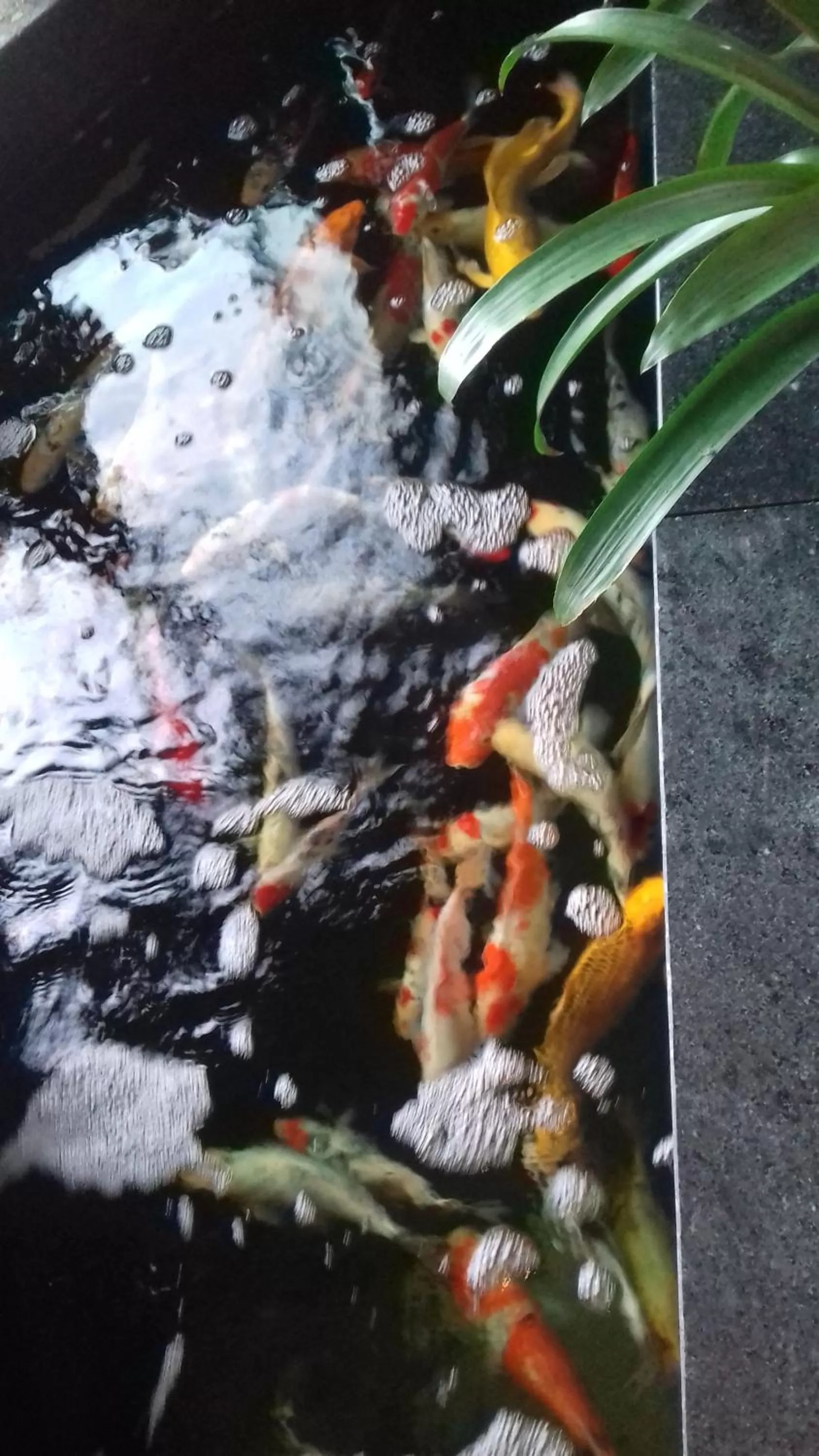 Khách Sạn Hiệp Yến