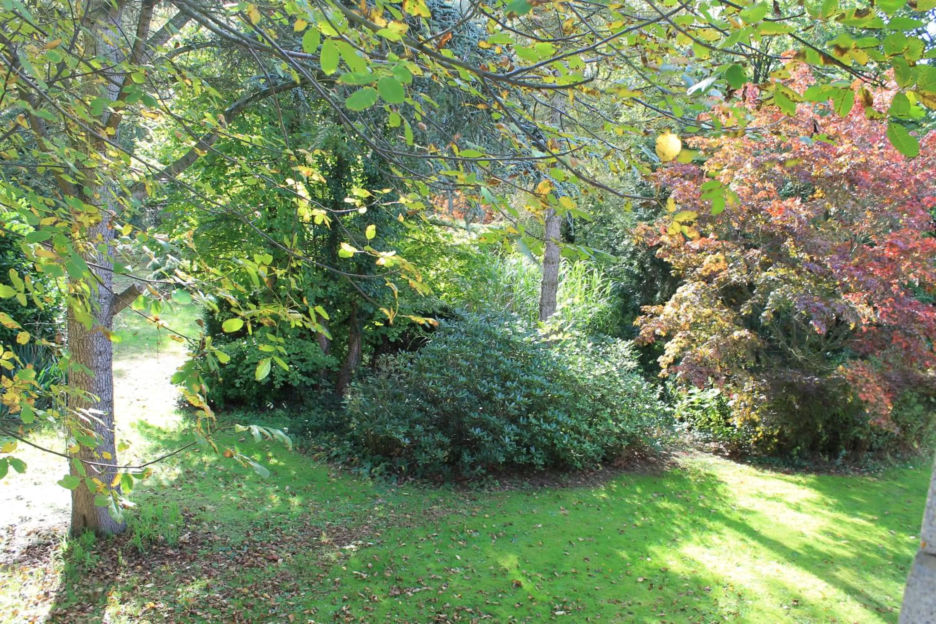 Garden in Beau Reg'Art