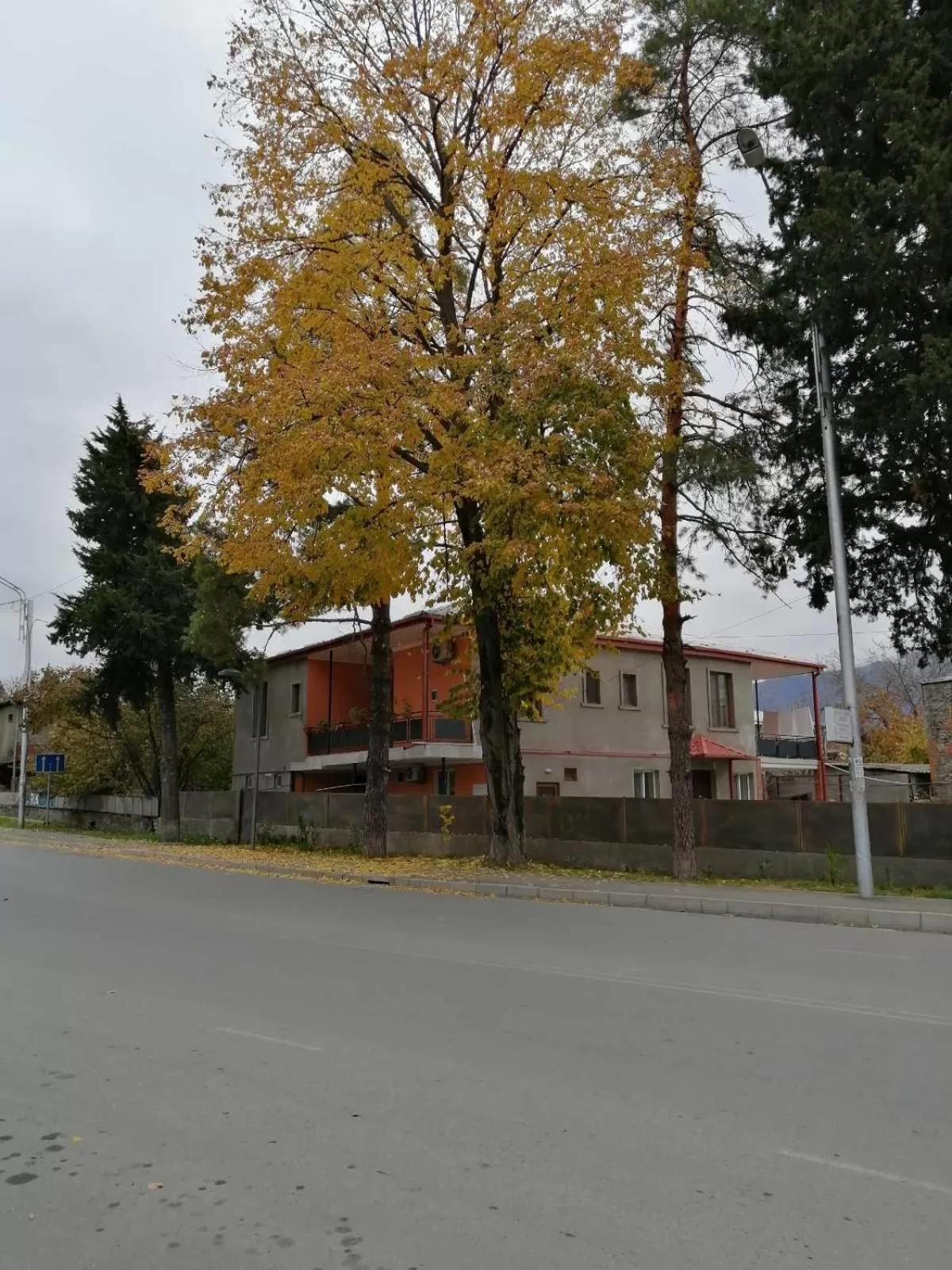Property Building in Guest House Kakheti