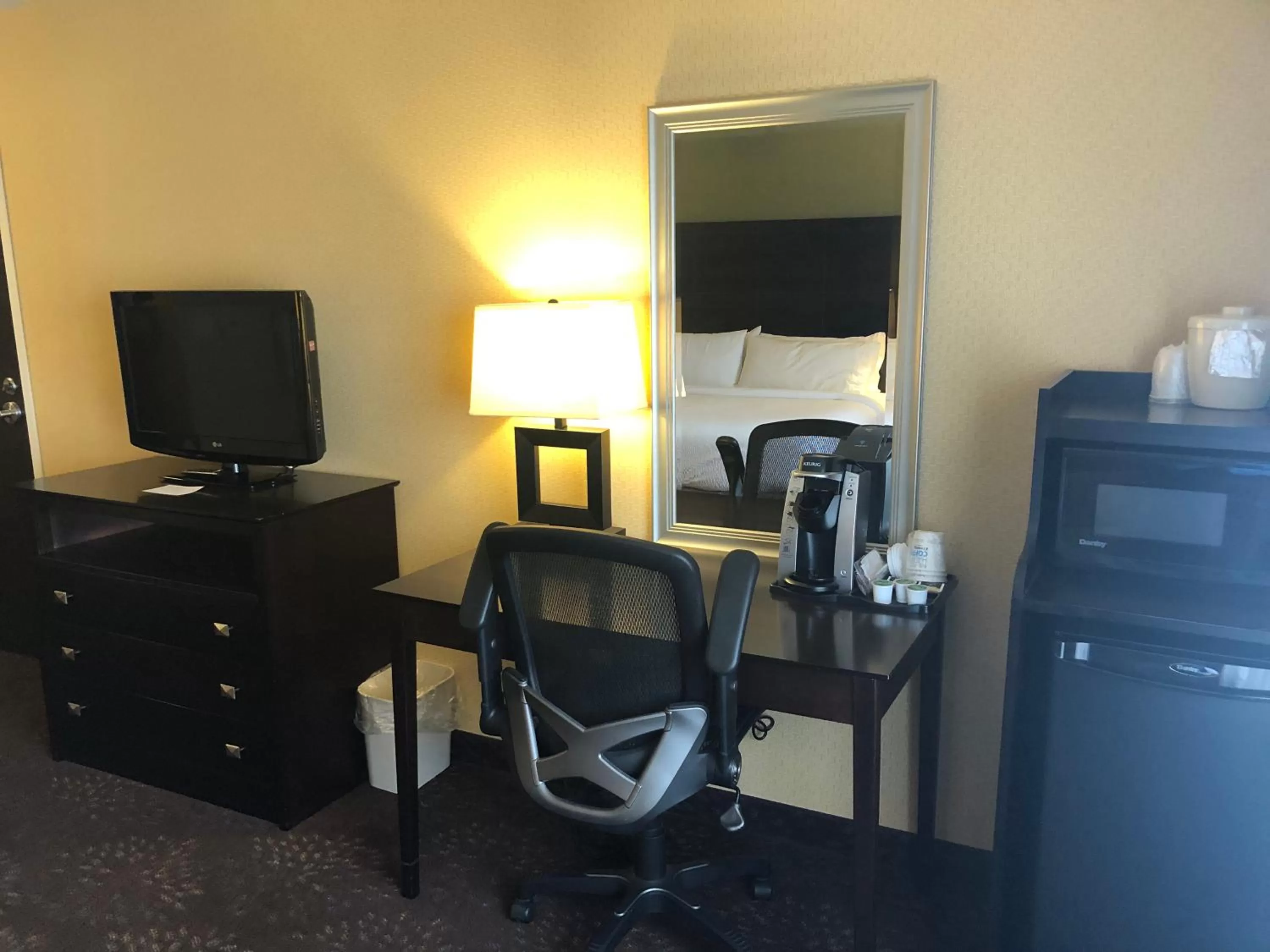 TV and multimedia in Holiday Inn Express Hotel & Suites Lansing-Dimondale by IHG
