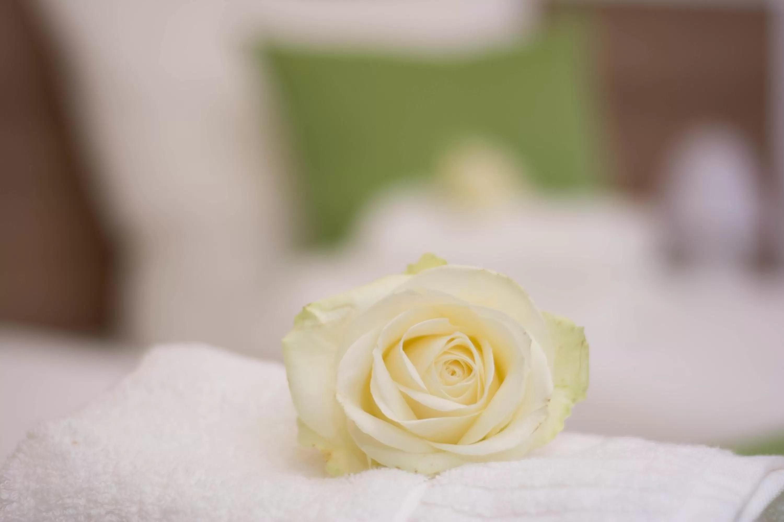 Decorative detail in B&B Kukione