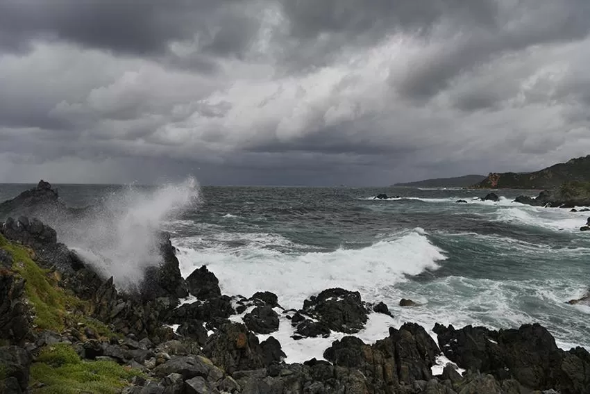 Domitys Le Jardin Des Palmiers