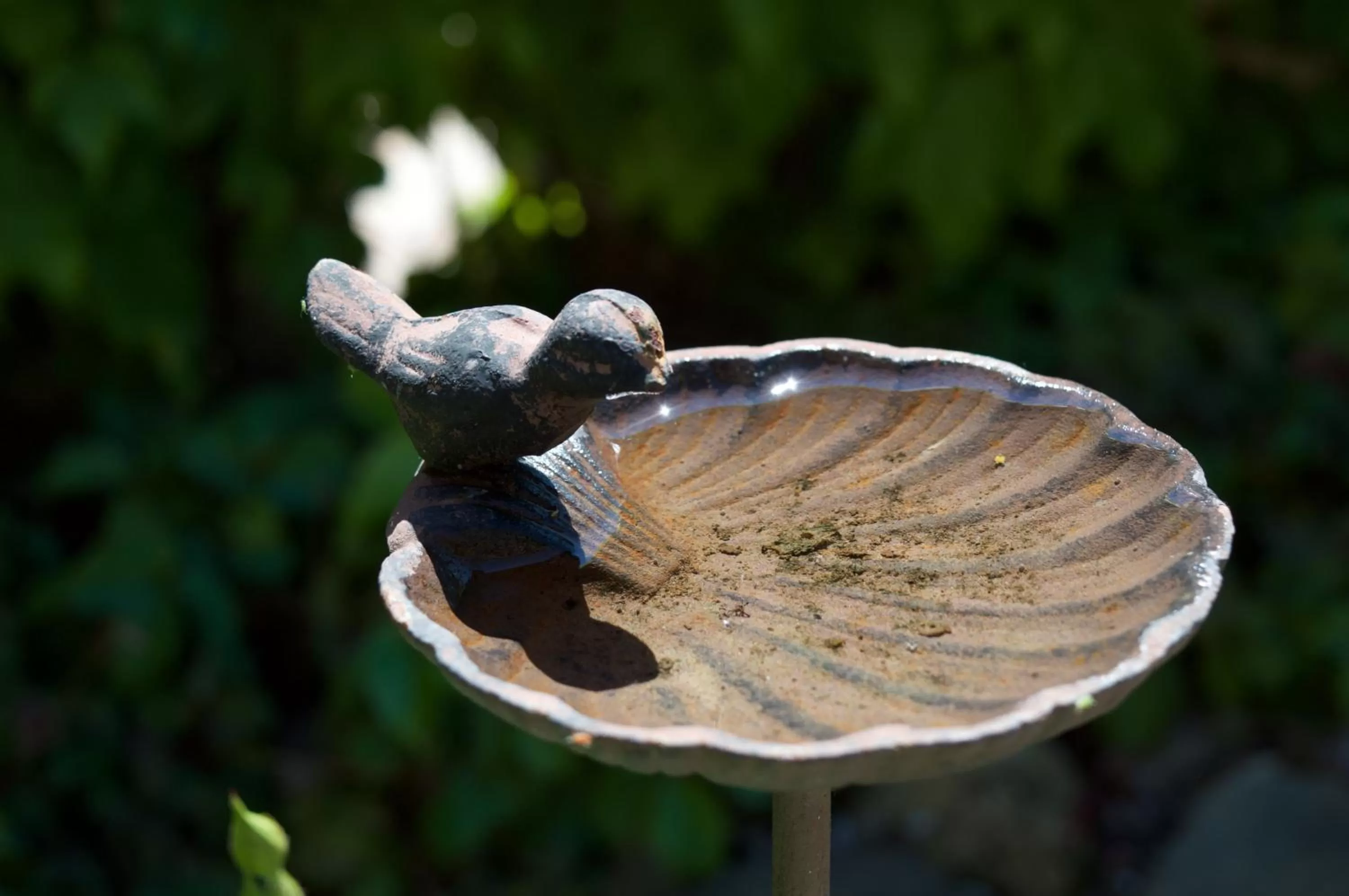 Garden in Quattrocolli B&B