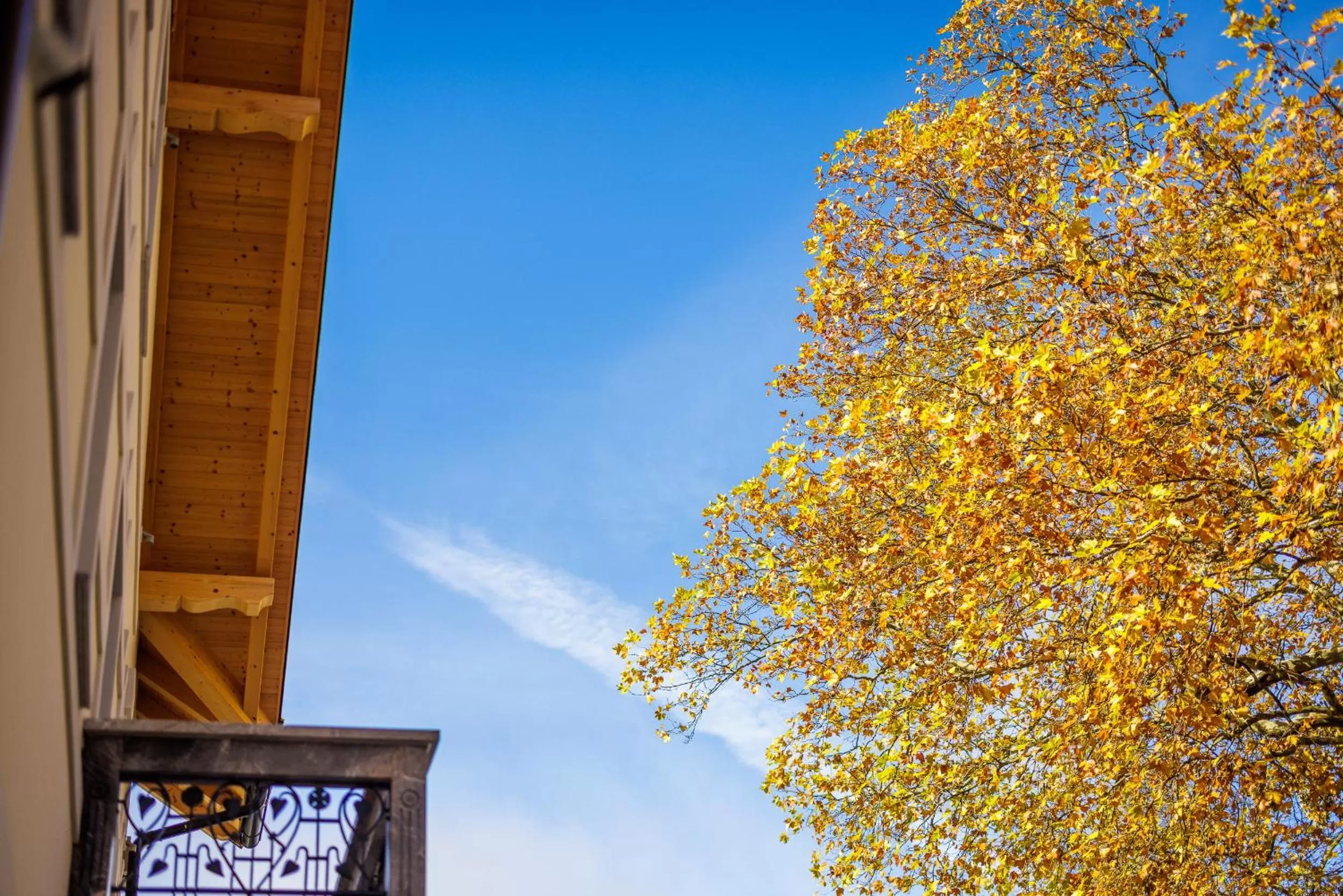 Property building in Boutique Hotel Sunrose 7 - Gourmet & SPA