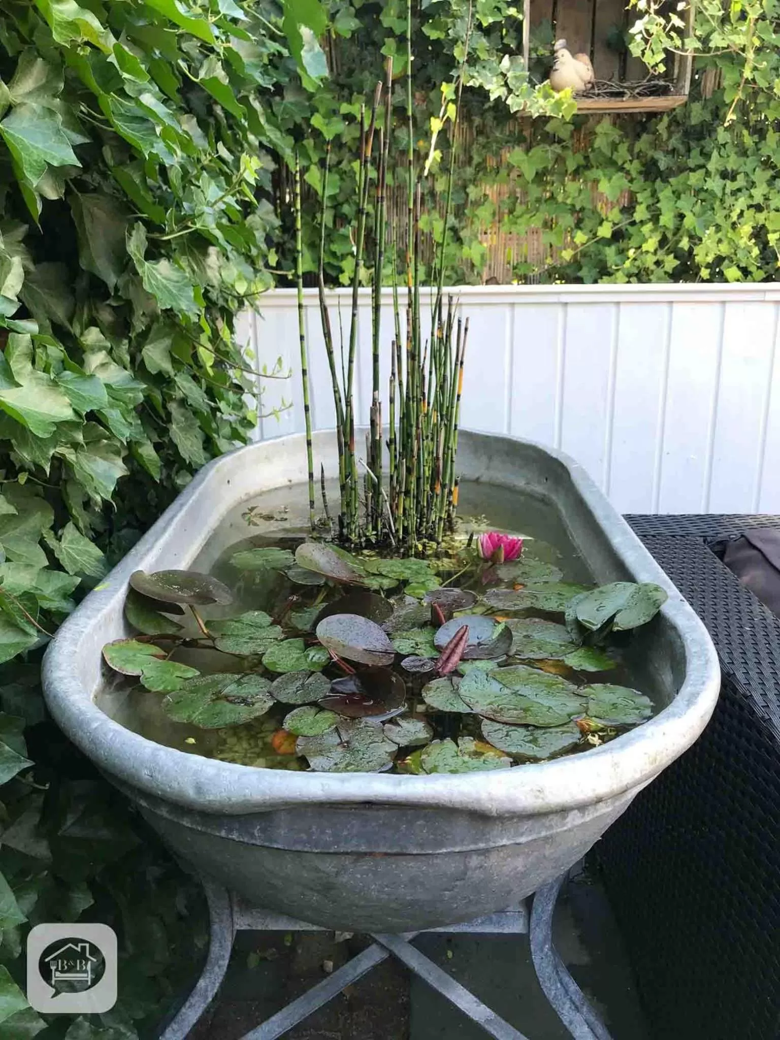 Spring in Villa Pats