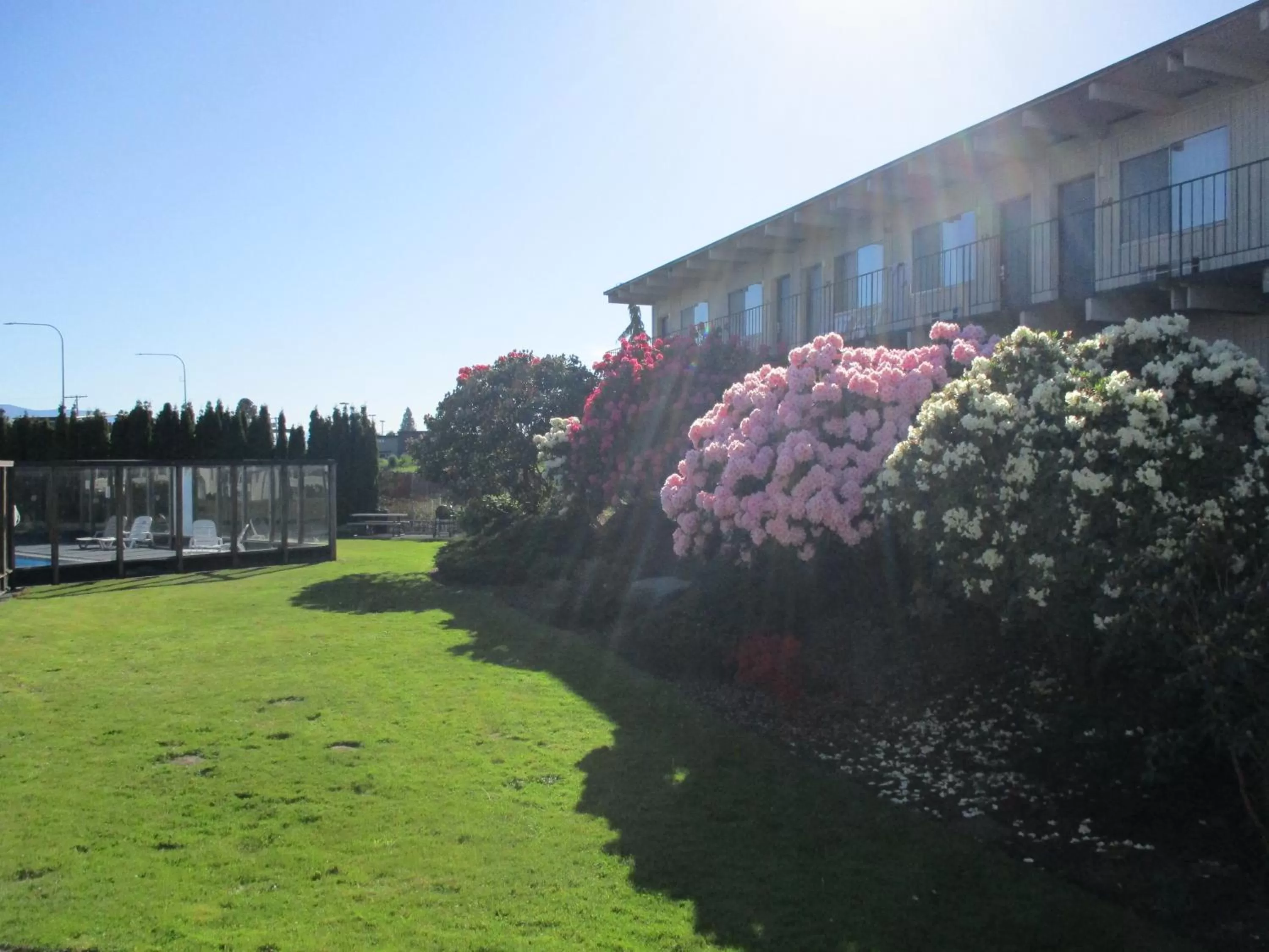 Natural landscape in Cocusa Motel