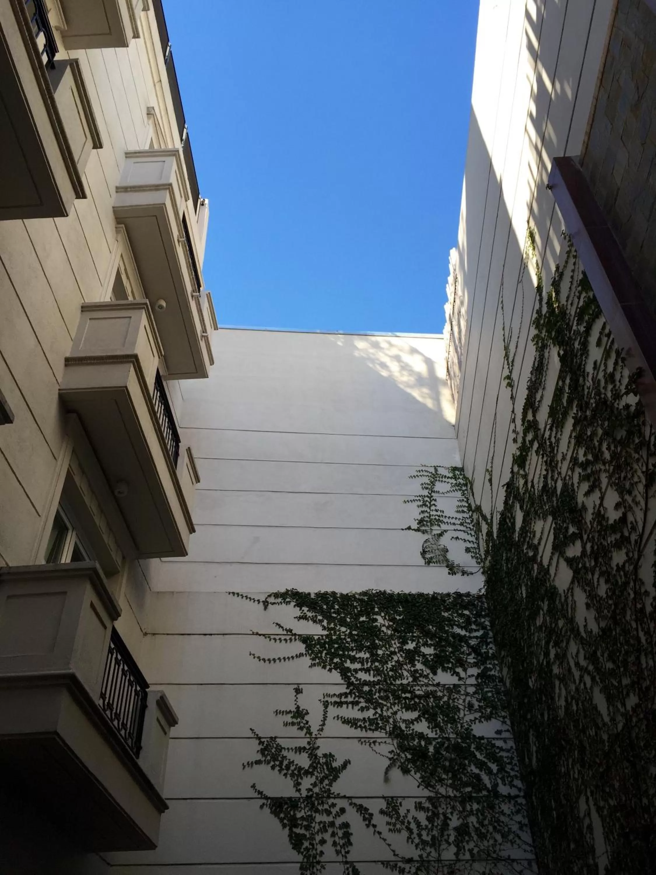 Garden view in Purobaires Hotel Boutique