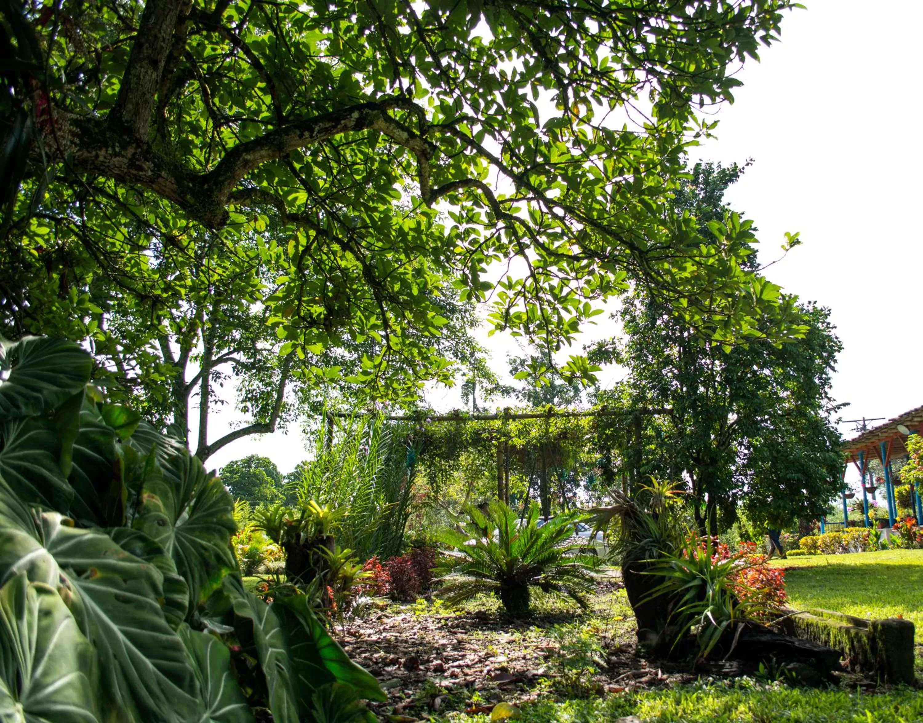 Natural landscape, Garden in Balsora Hotel Boutique