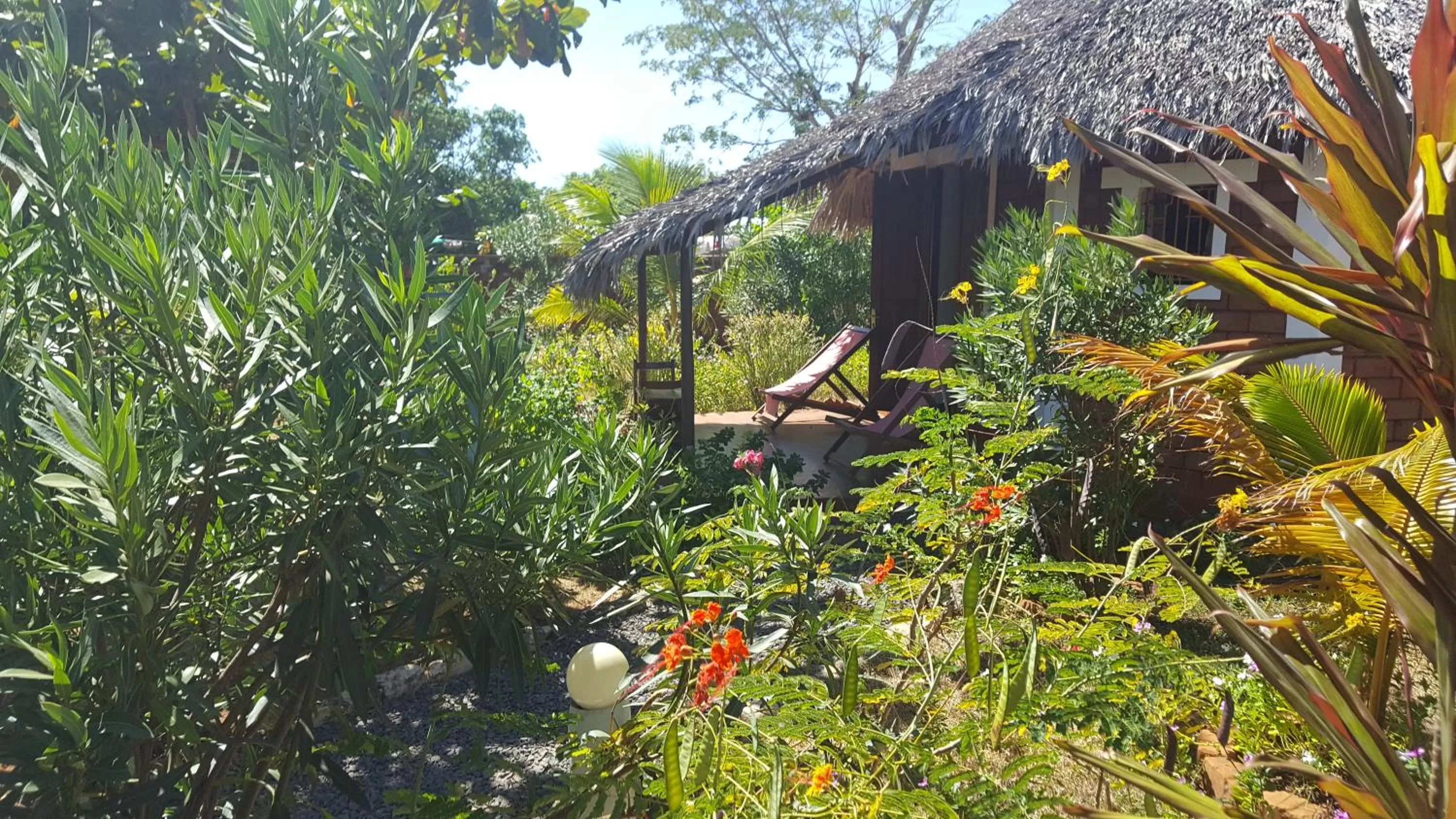 Garden view in Hotel Lakana Ramena