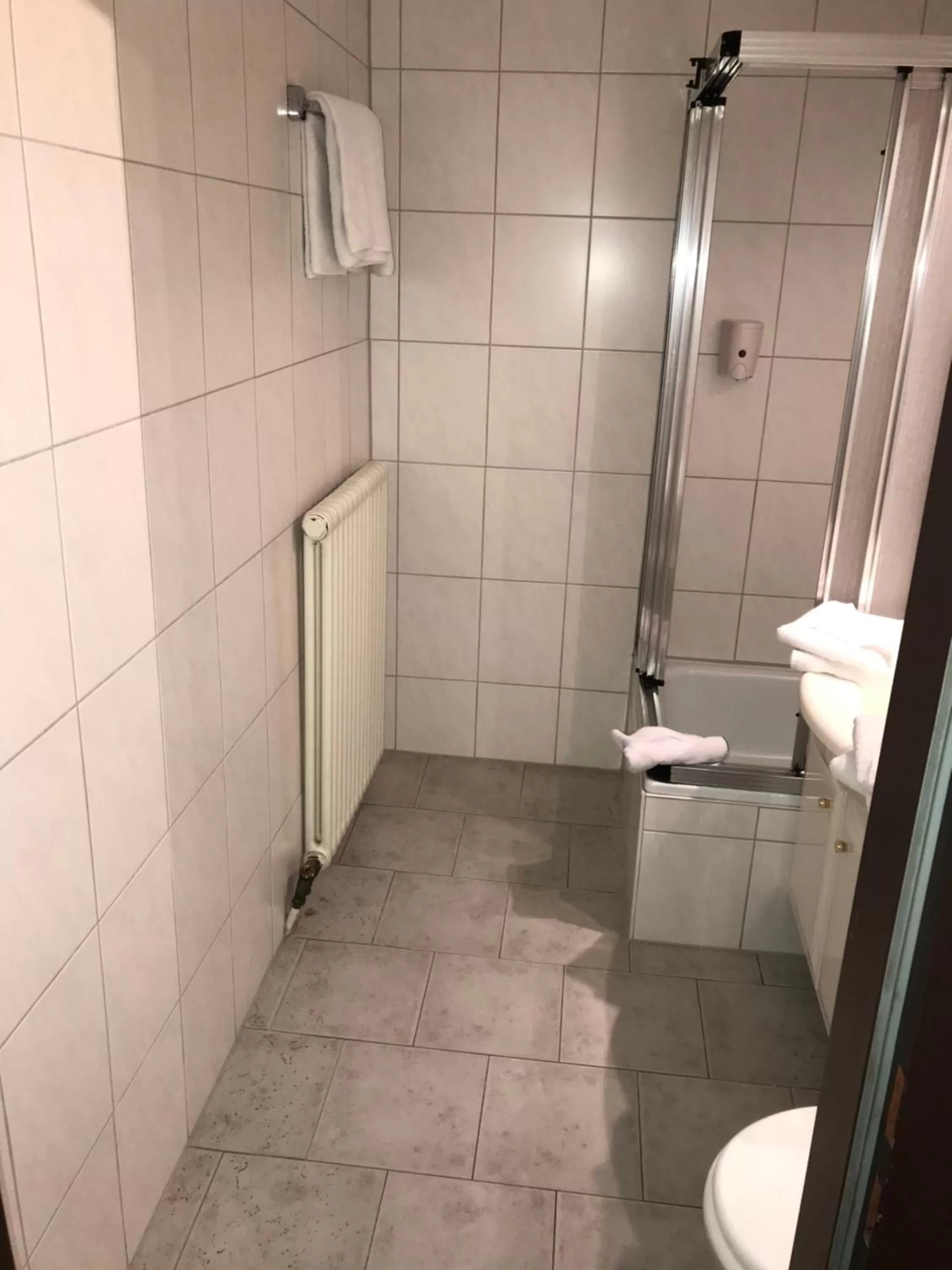 Toilet in Hotel Fürstenhof
