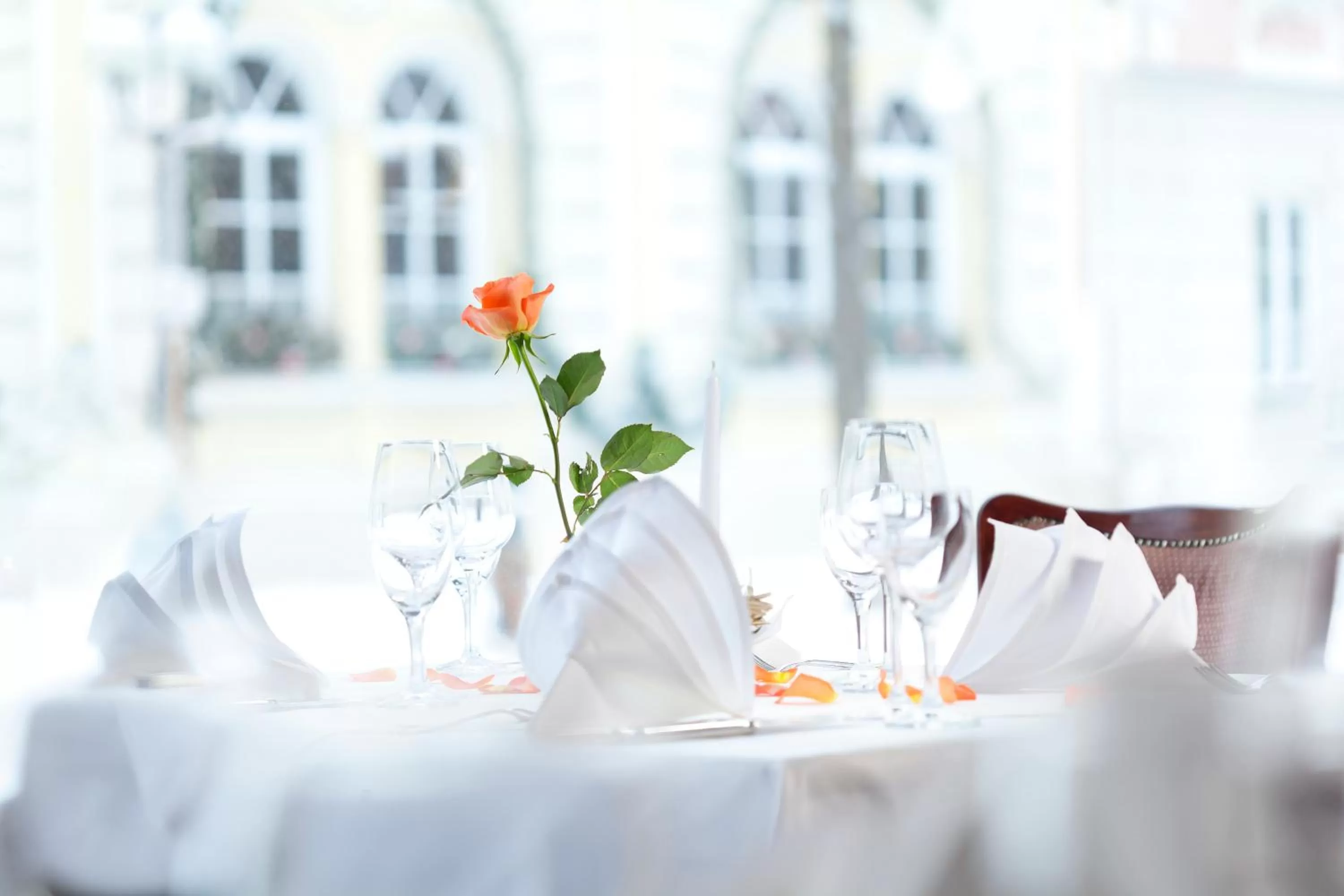 Restaurant/places to eat in Hotel Luitpold
