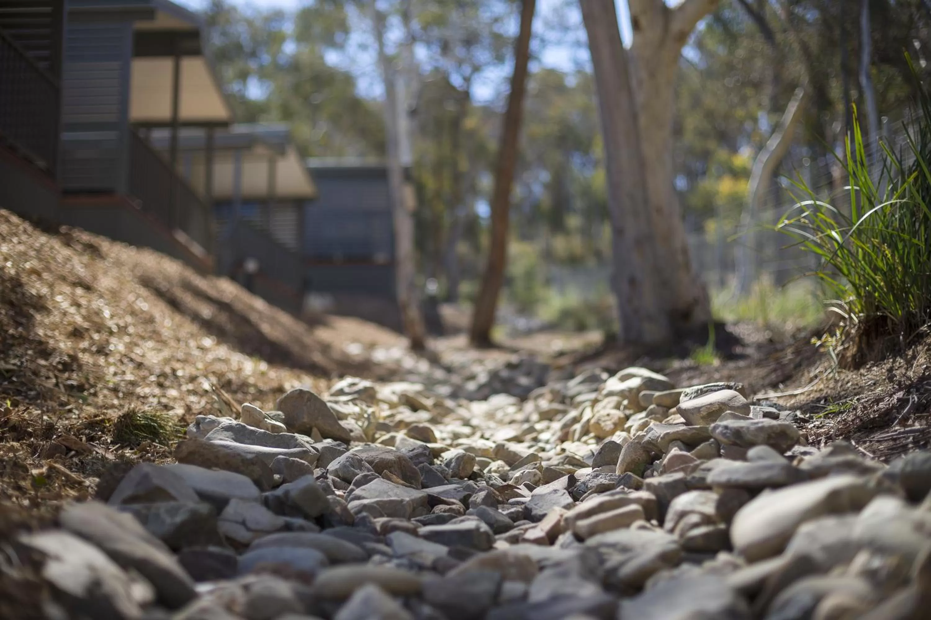 Garden view in Alivio Tourist Park Canberra