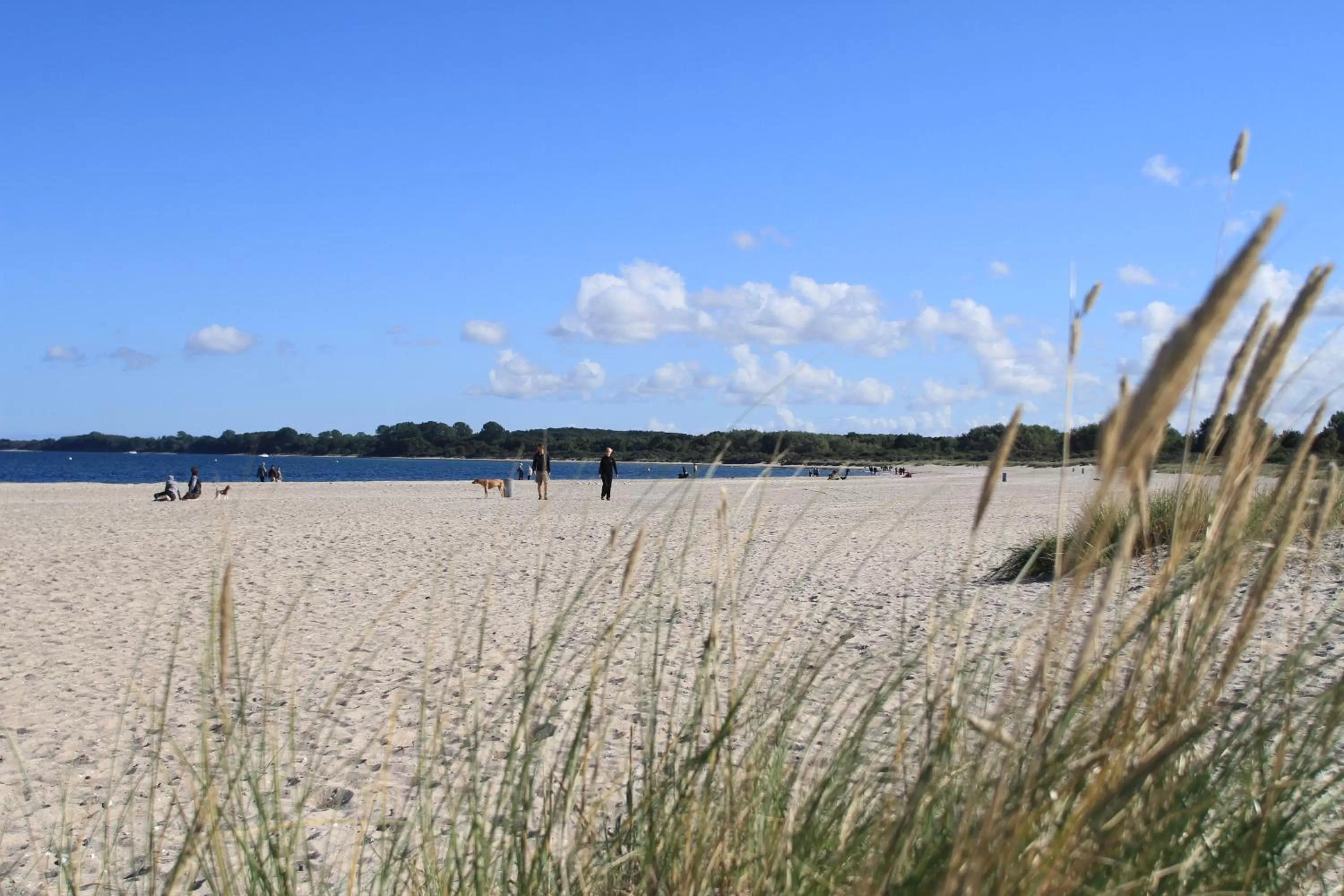 Beach in SlowDown Travemünde