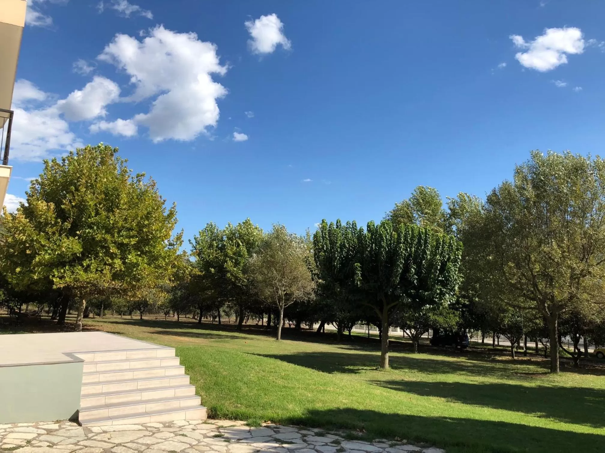 Garden in Hotel Marathia