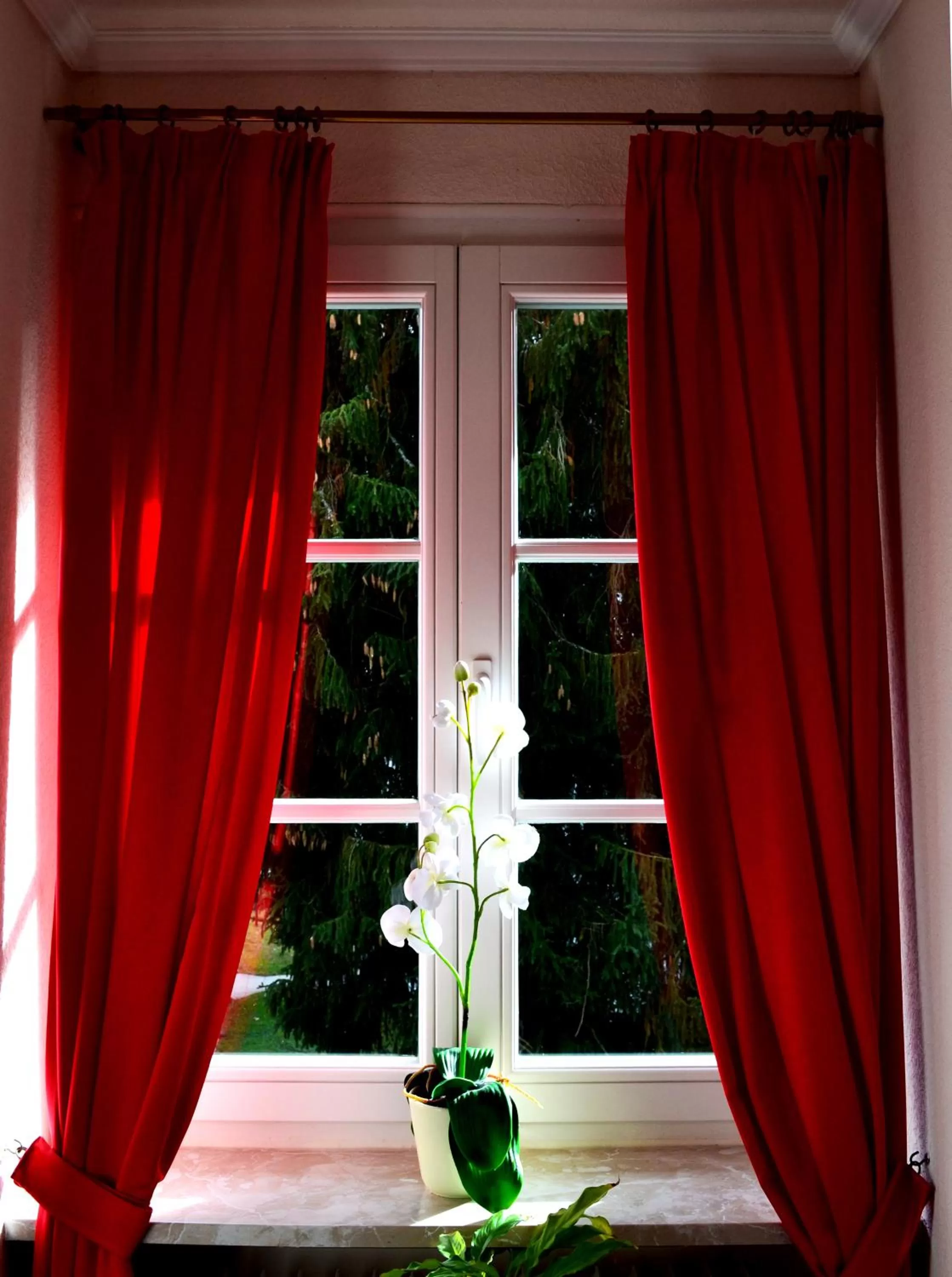 Other, View in Hotel Athos