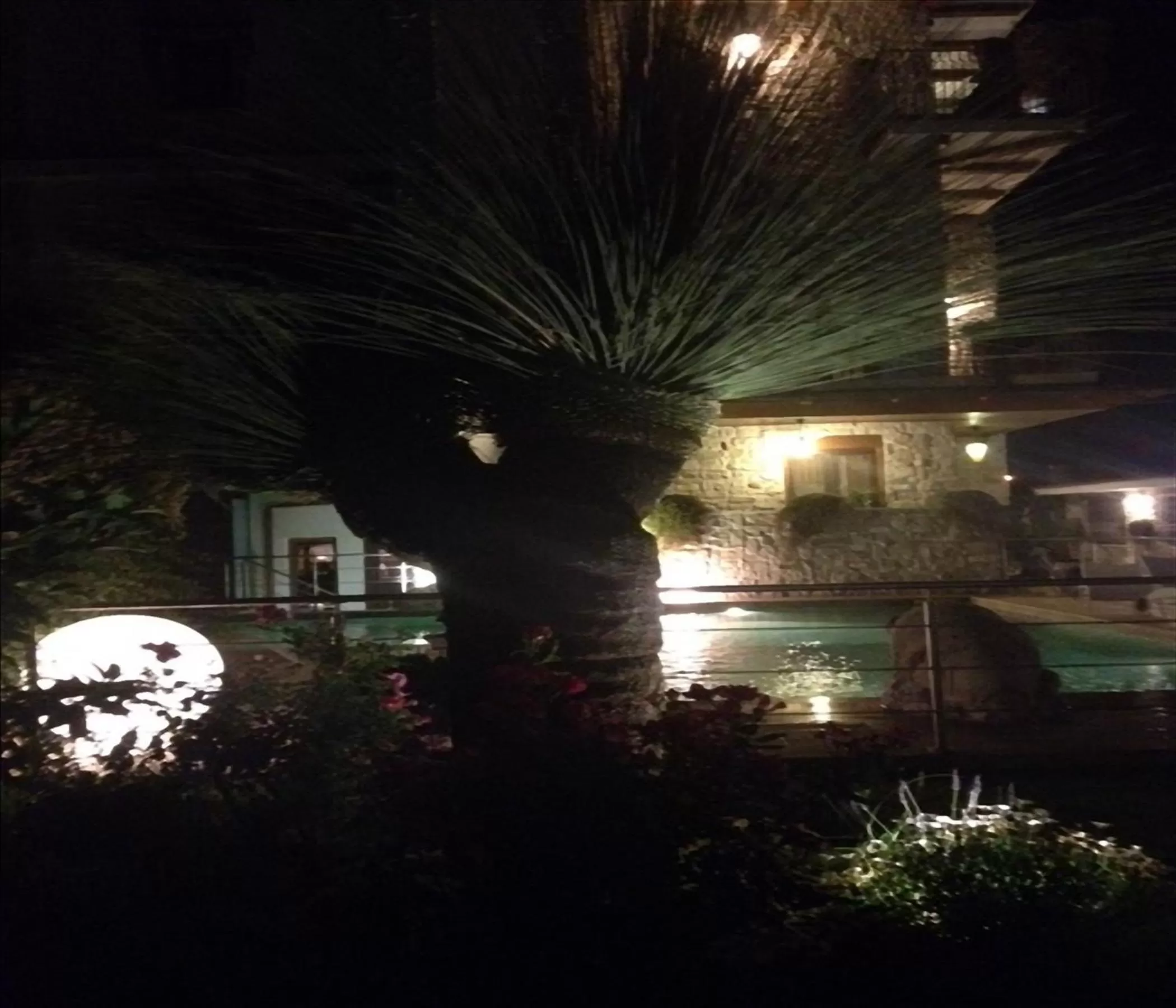 Garden view in Hotel Villa Clementina