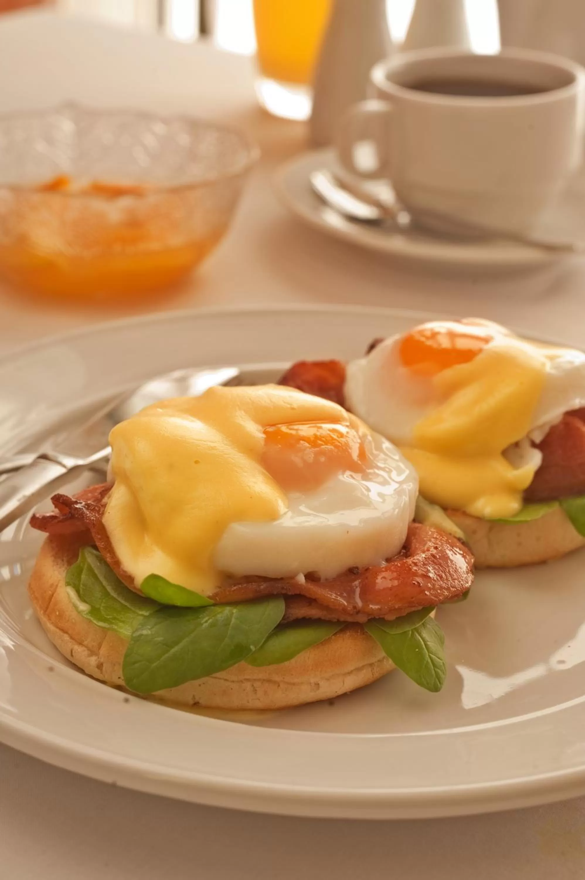 Homestead Villa Motel