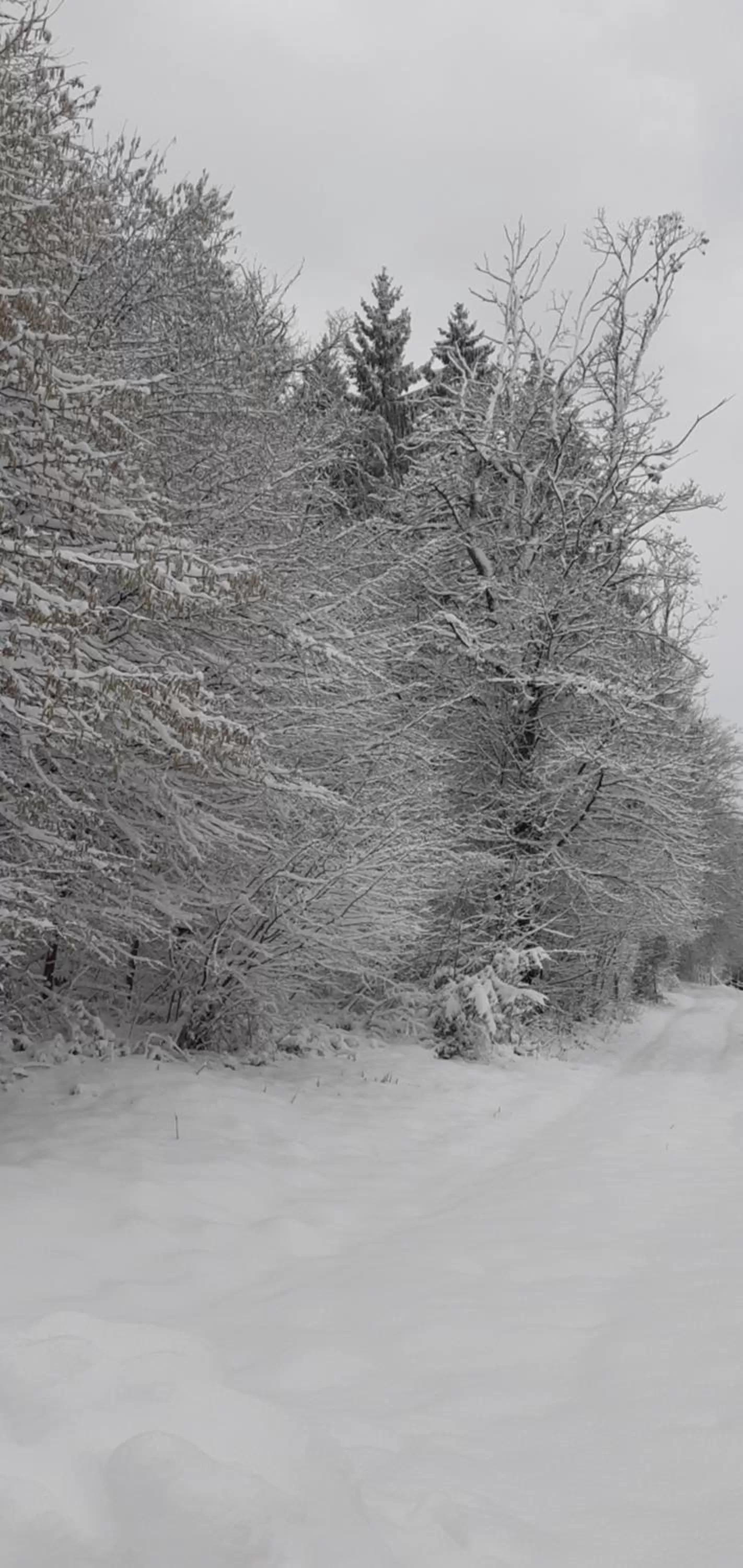 Winter in Au coucher du lac