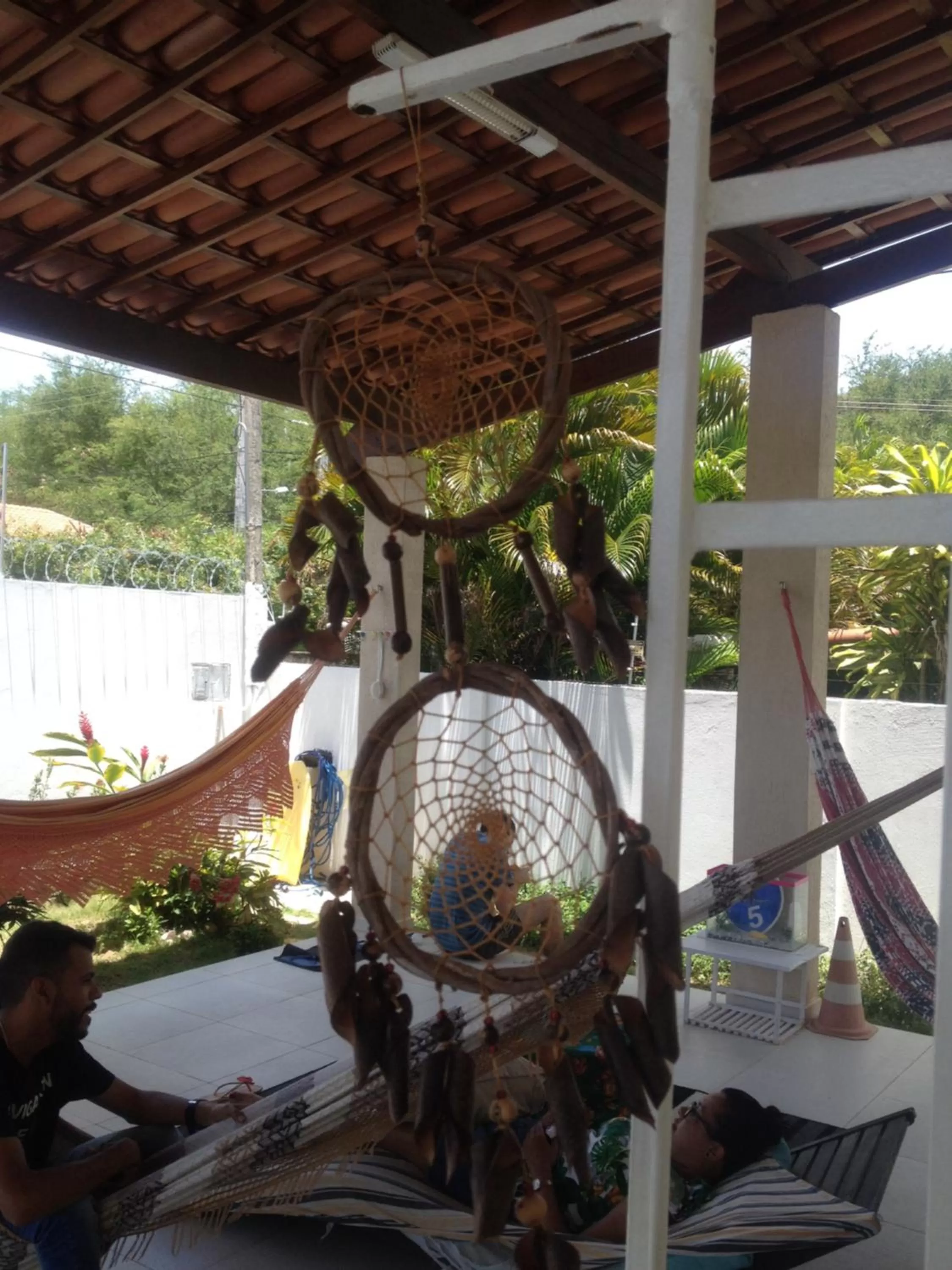 Garden in Hostel Das Canárias