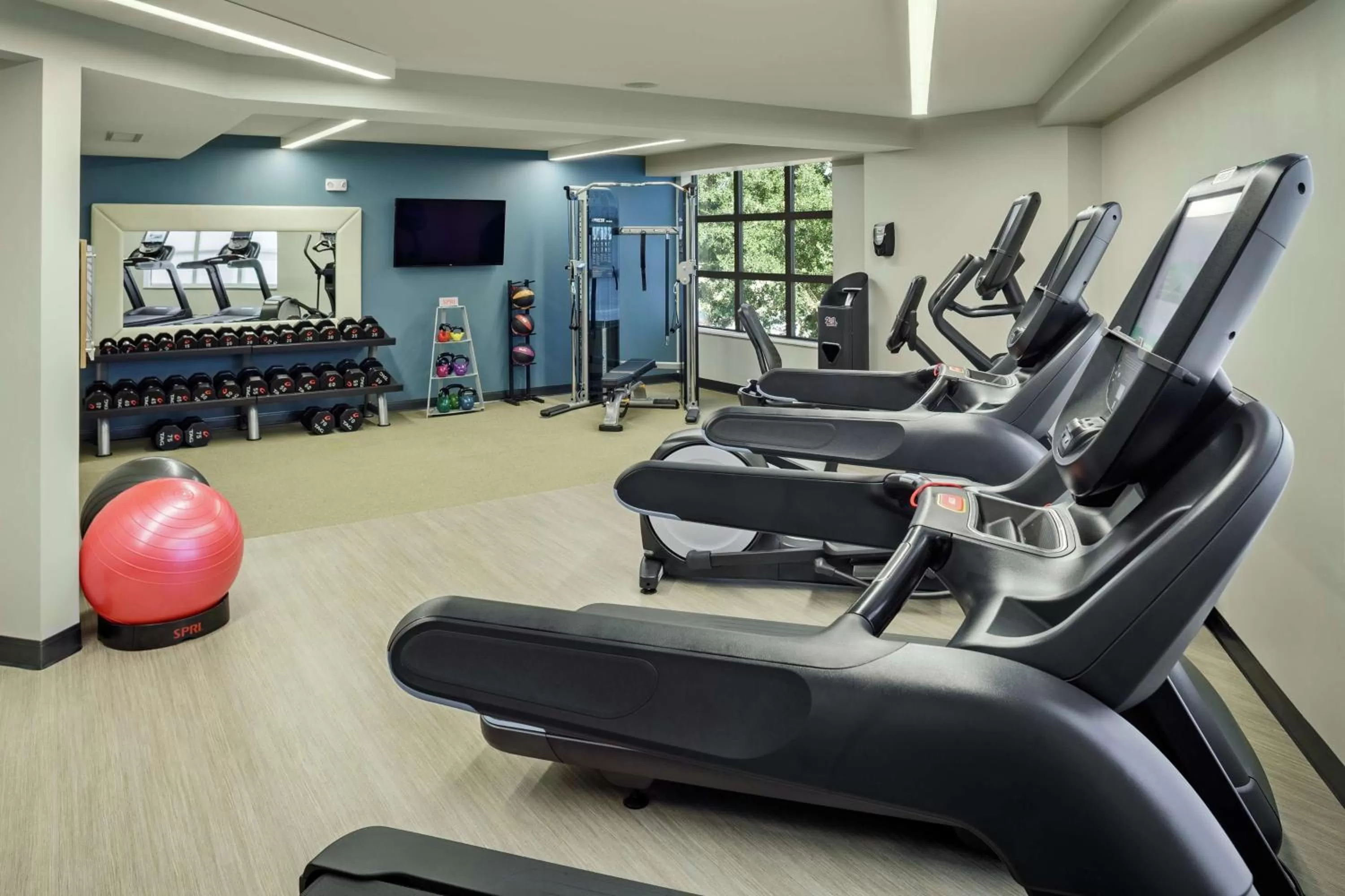 Fitness centre/facilities in The Bevy Hotel Boerne, A Doubletree By Hilton