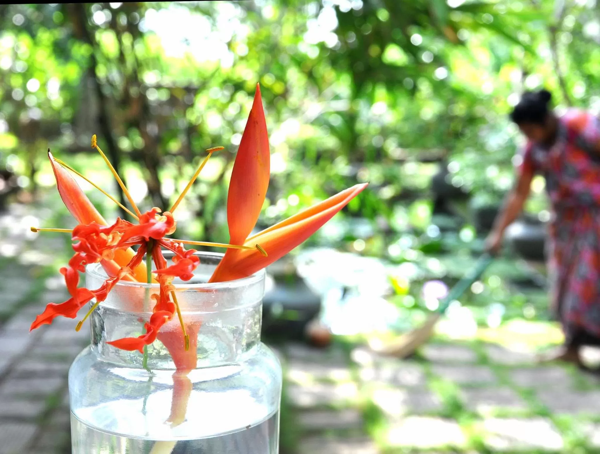 Day in Villa Jacaranda