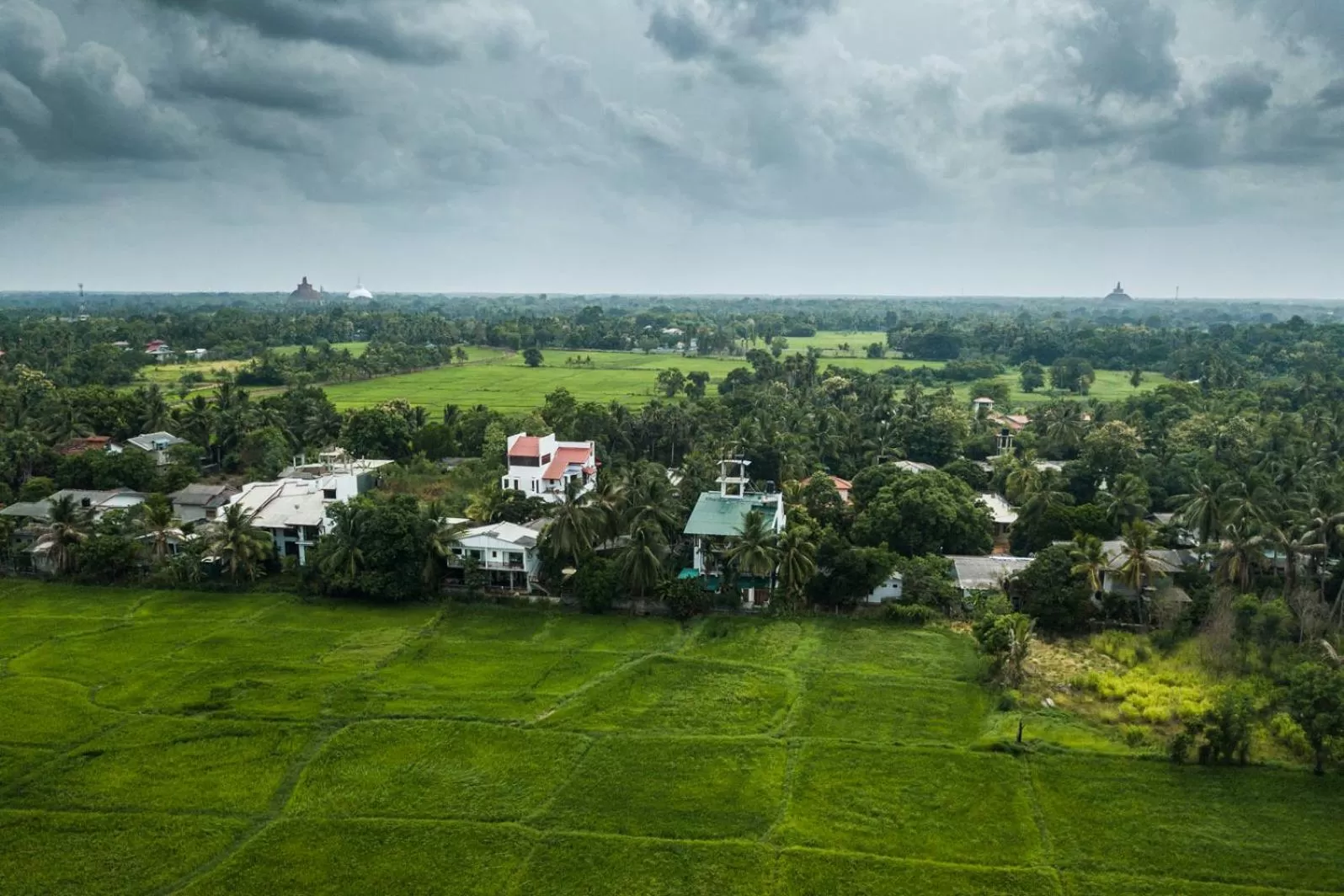 Bird's eye view in Heaven Upon Rice Fields