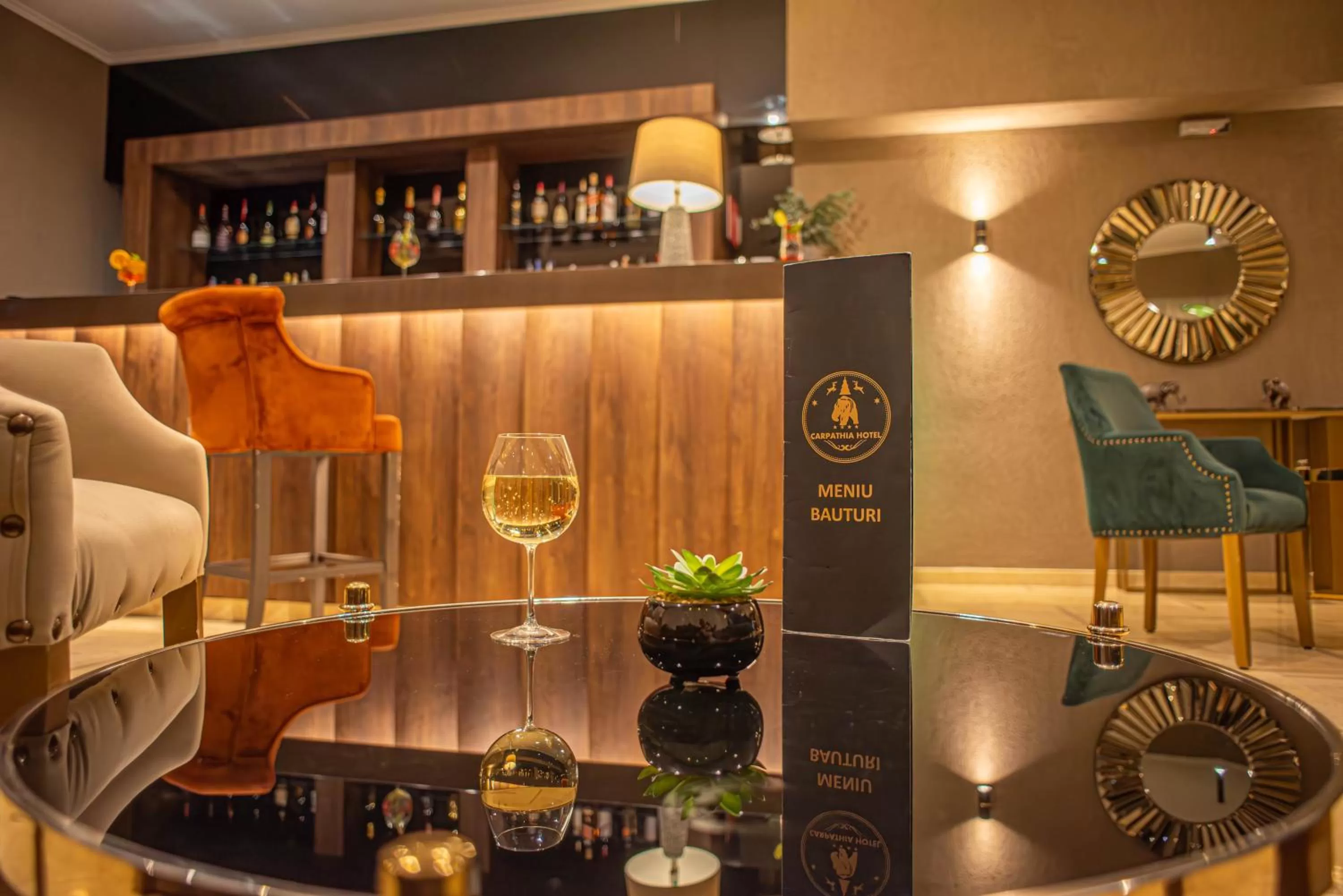 Lounge or bar in Hotel Carpathia